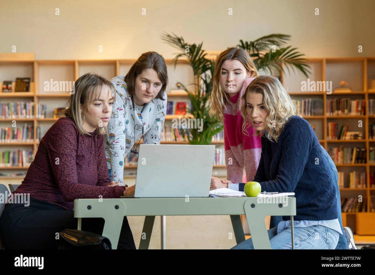 Un gruppo di donne impegnate che collaborano a un progetto mentre si riuniscono intorno a un notebook. Foto Stock