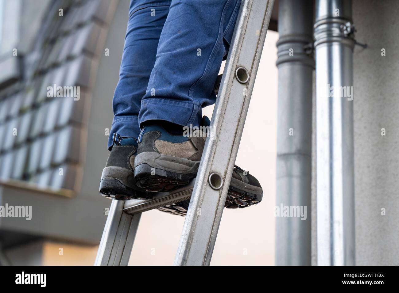 Lavoratori su una scala che eseguono lavori di manutenzione. Foto Stock
