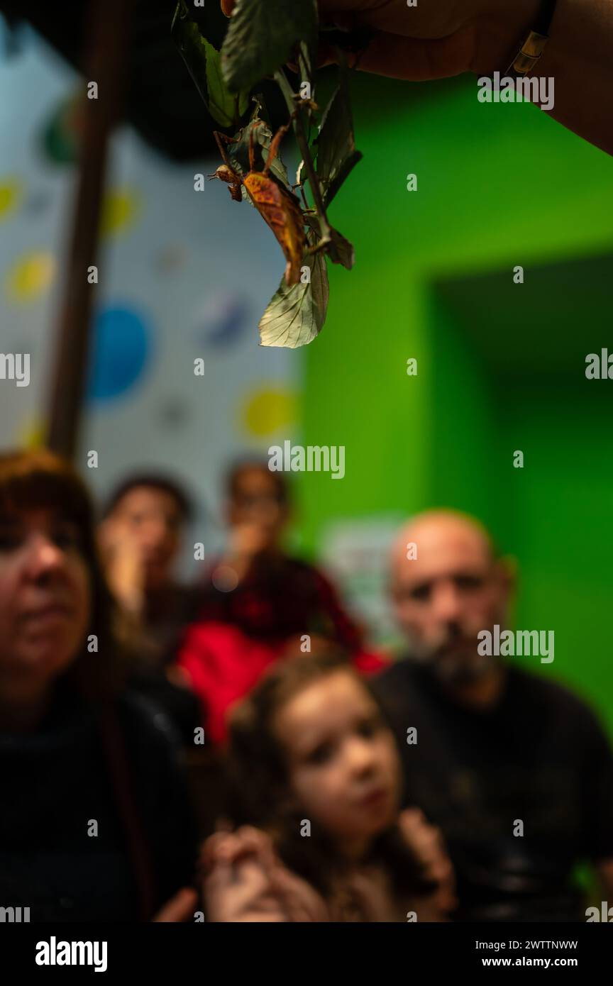 Laboratorio di artropodi tenuto dall'entomologo e divulgatore ambientale Sergi Romeu Valles all'acquario del fiume Saragozza, il più grande d'Europa Foto Stock