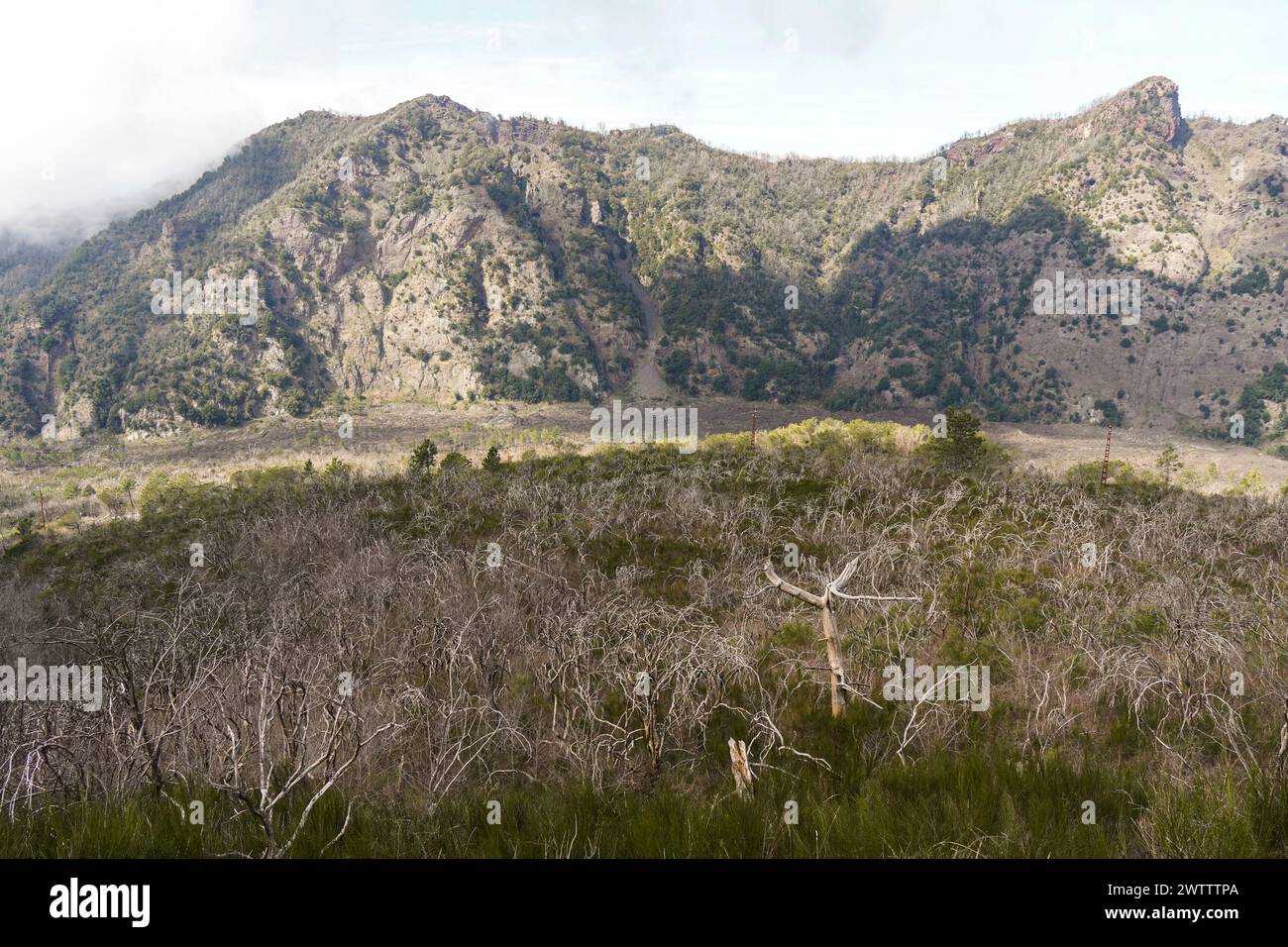 Parco nazionale del Vesuvio. Sul vulcano attivo Vesuvio, a sud-est di Napoli. Italia Foto Stock