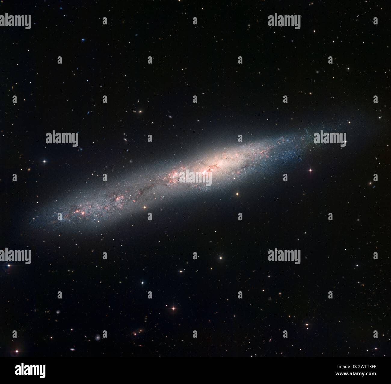 Galassia a spirale nello spazio Foto Stock