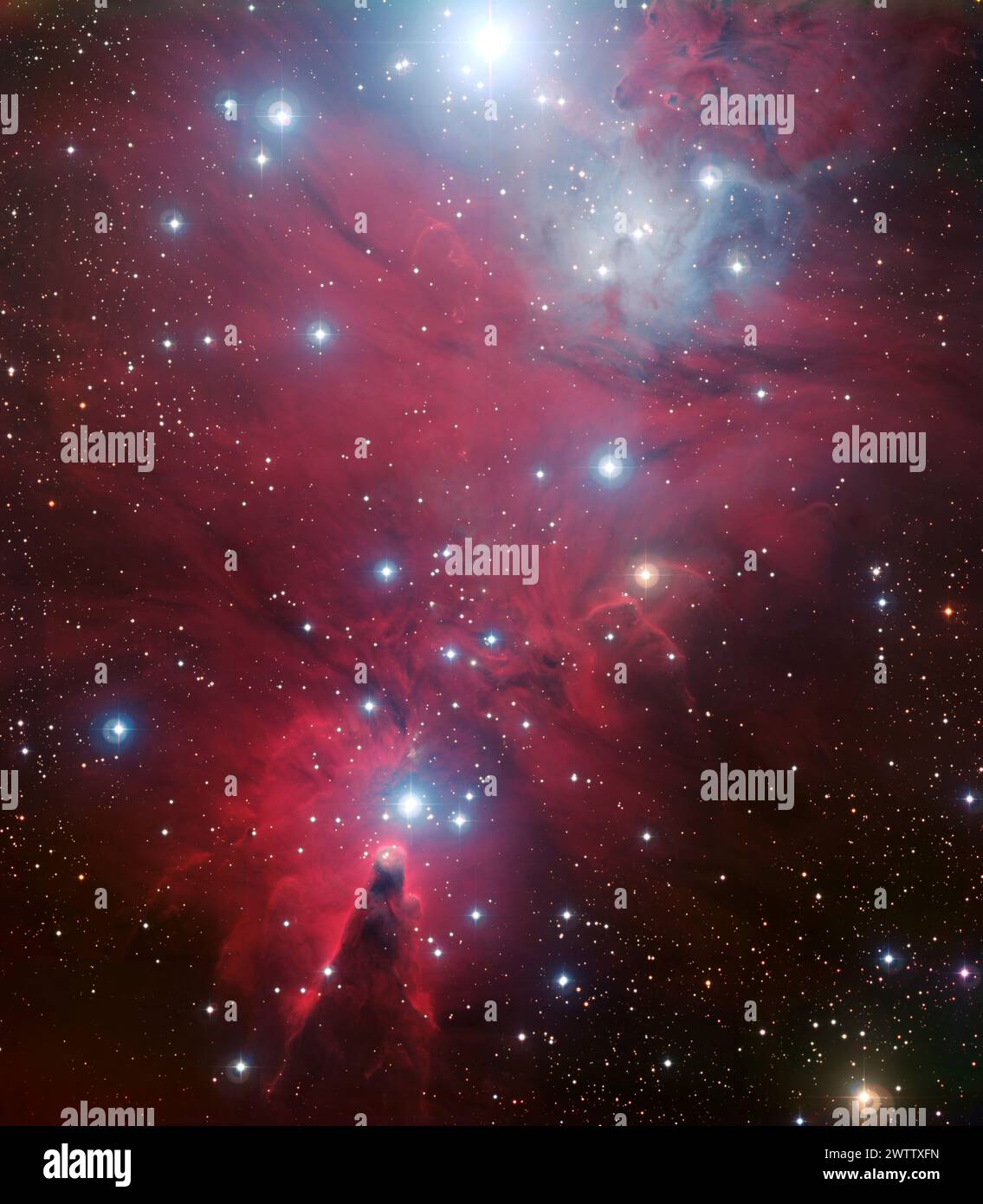 Una vivace nuvola cosmica punteggiata di stelle. Foto Stock