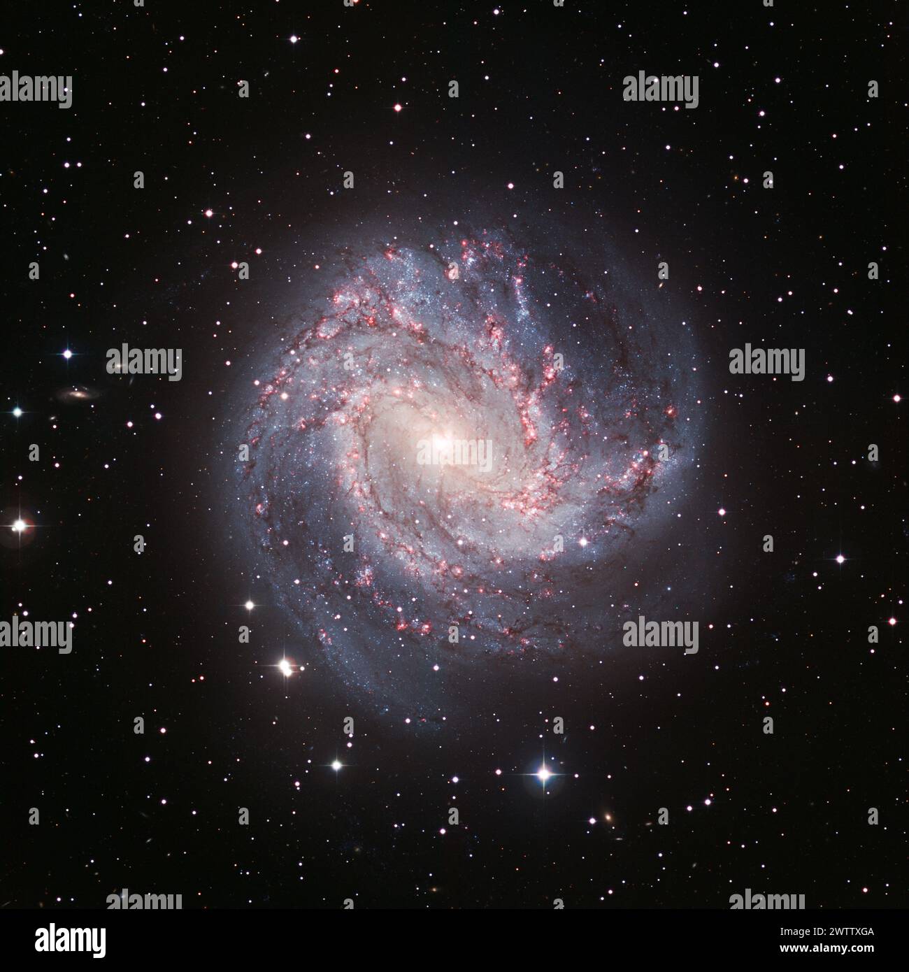 Galassia a spirale con sfondo stellato Foto Stock