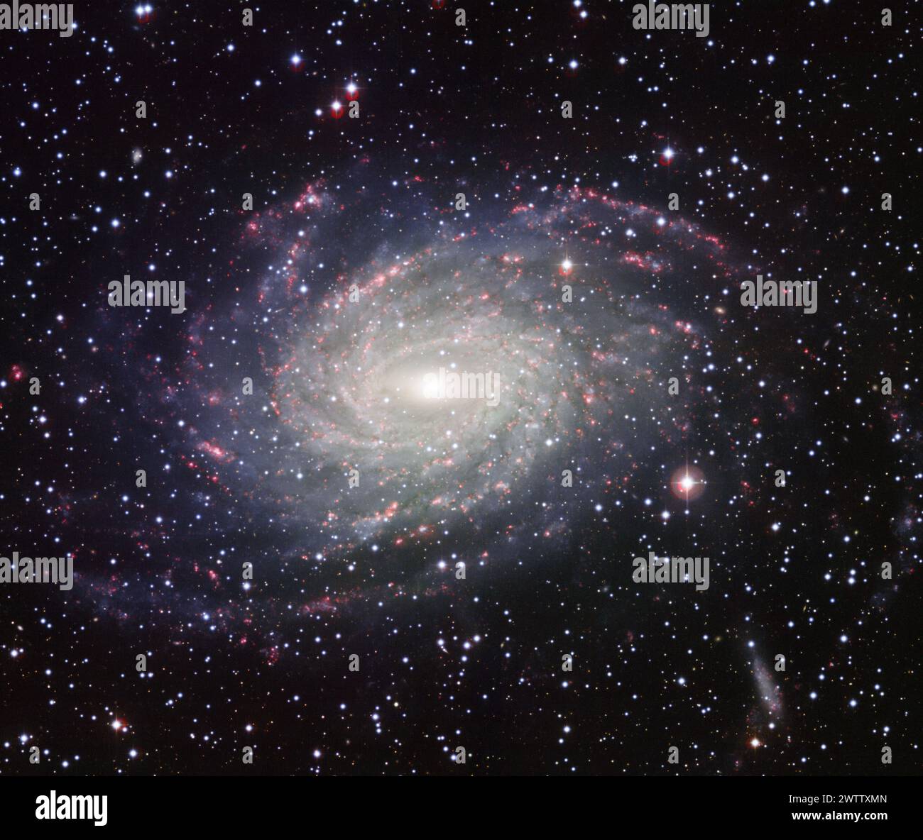 Galassia a spirale nello spazio Foto Stock