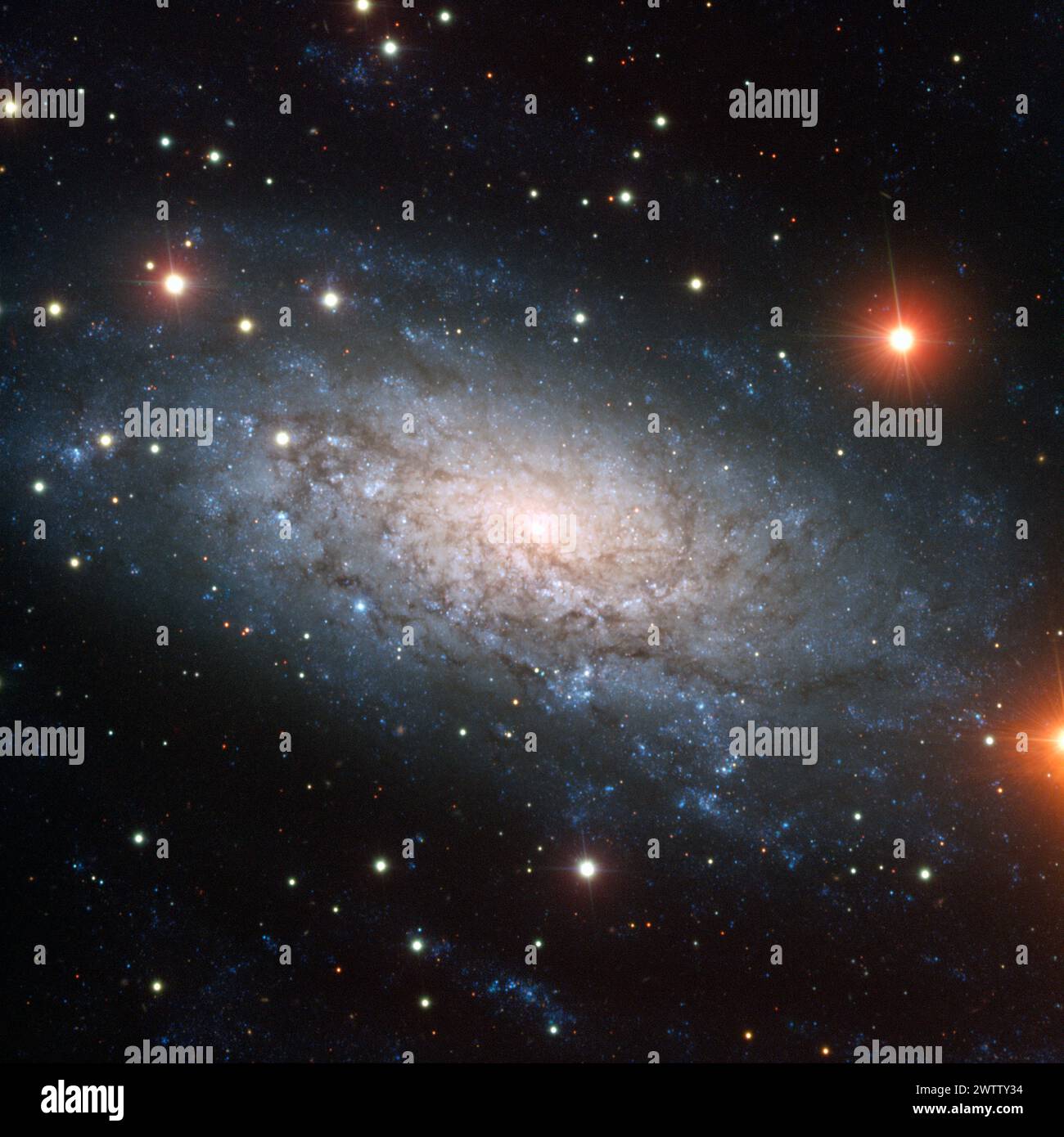 Galassia a spirale scintillante in mezzo a un cielo stellato. Foto Stock