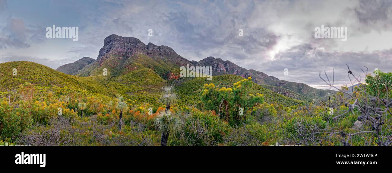Stirling Range o paesaggio paesaggistico di Koikyennuruff, splendido parco nazionale di montagna nell'Australia Occidentale, con la vetta più alta del Bluff Knoll. Panorama Foto Stock
