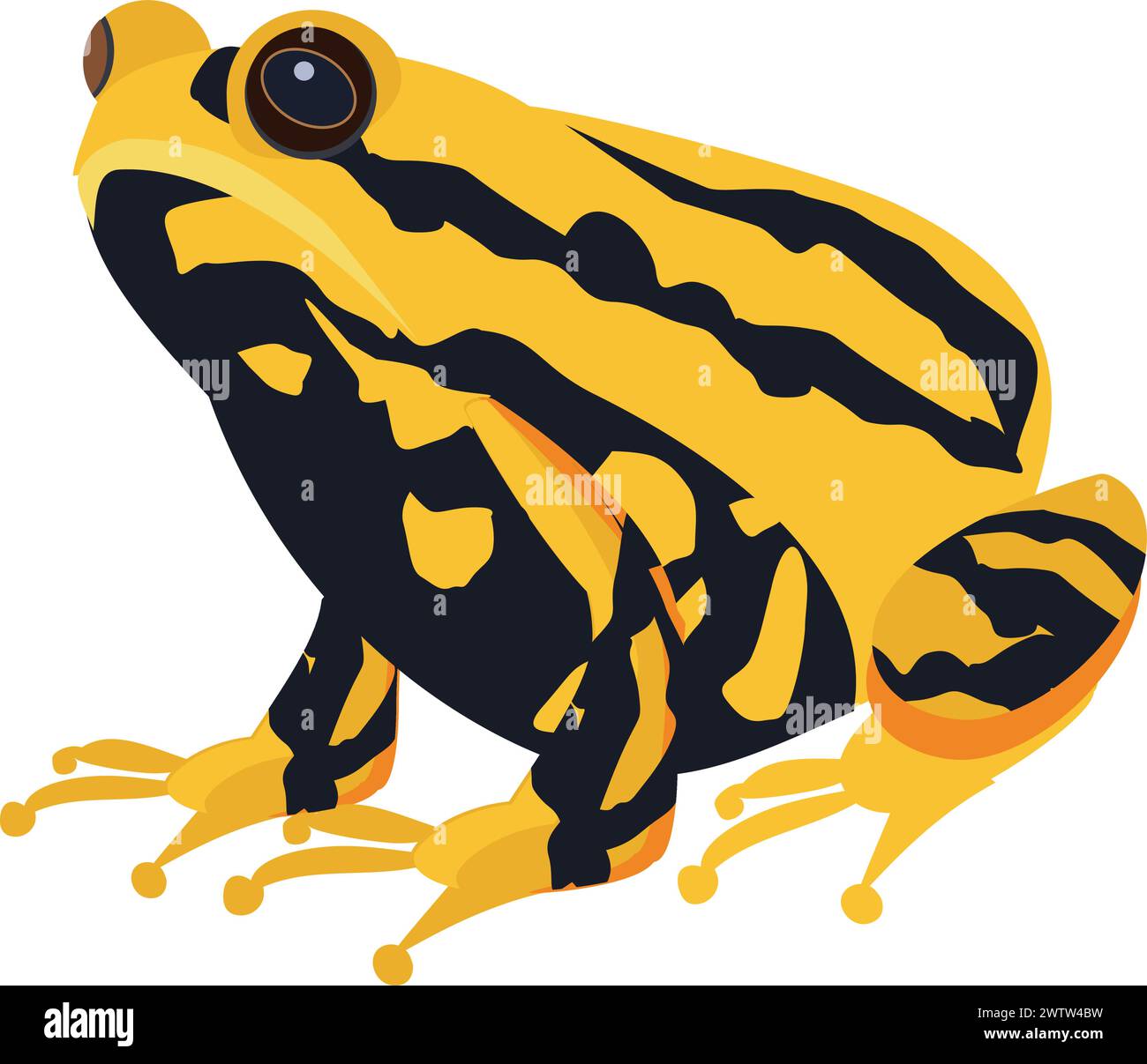 Rospo esotico. Animale giallo nero. Anfibia tropicale Illustrazione Vettoriale