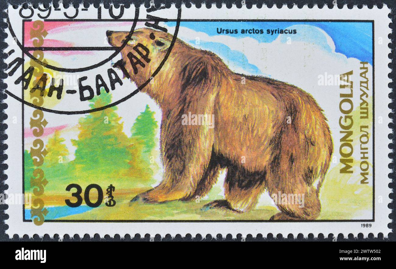 Francobollo cancellato stampato dalla Mongolia, che mostra l'Orso bruno siriano (Ursus arctos syriacus), intorno al 1989. Foto Stock