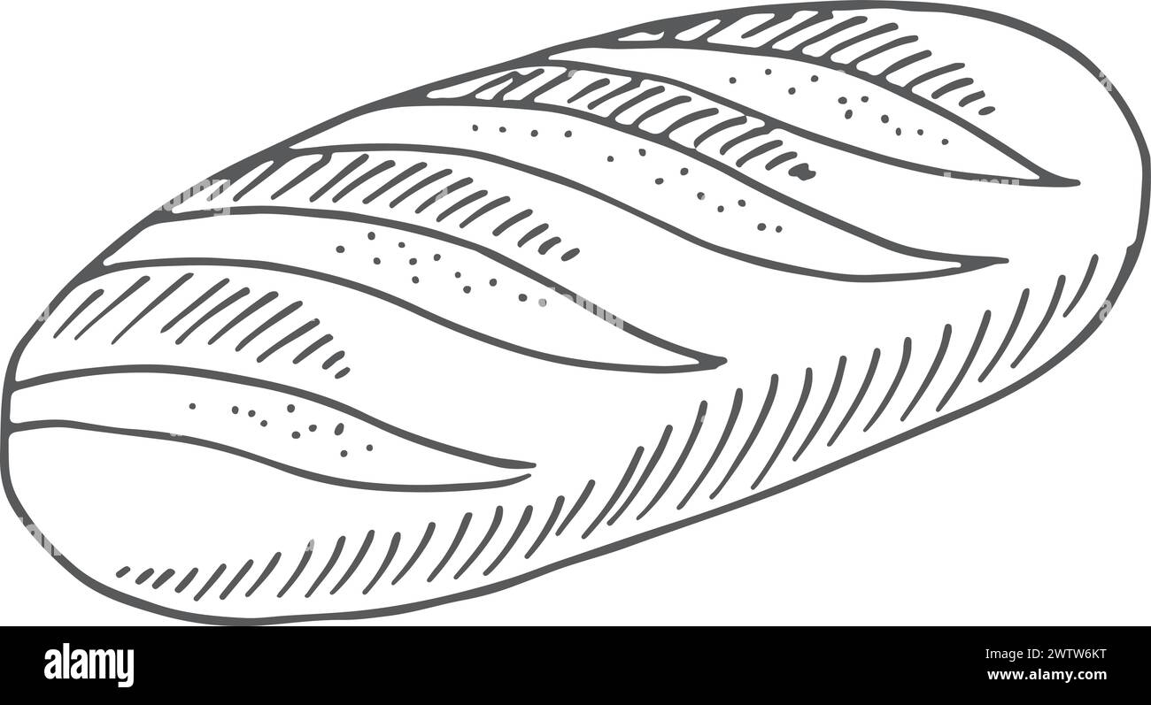 Schizzo del pane di grano. Gustosa panetteria bianca fresca Illustrazione Vettoriale