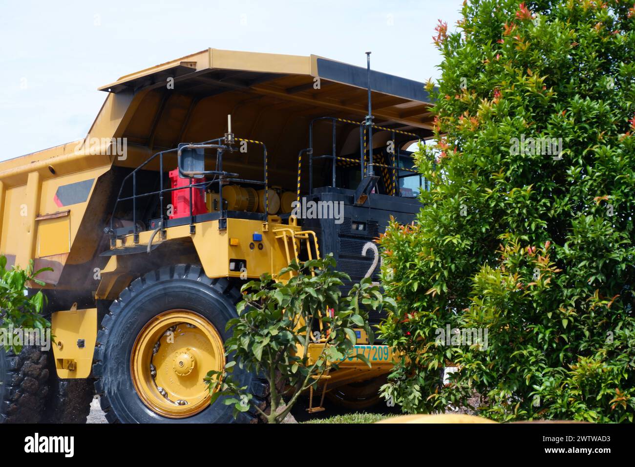 un grosso camion giallo dietro gli alberi Foto Stock