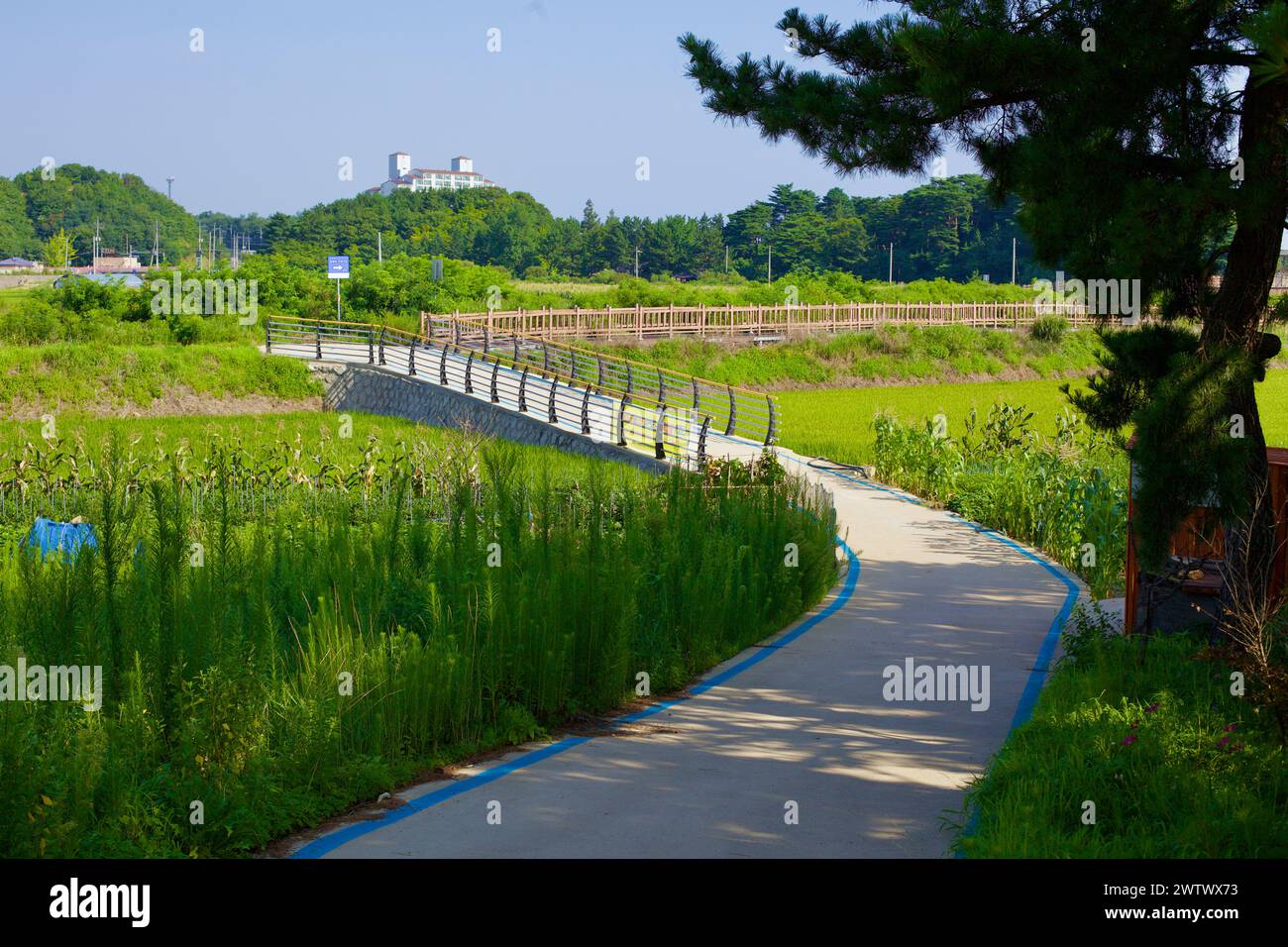 Contea di Goseong, Corea del Sud - 30 luglio 2019: Una pista ciclabile panoramica si snoda attraverso un'area costiero erbosa, attraversa una terra paludosa e poi si collega a un b Foto Stock