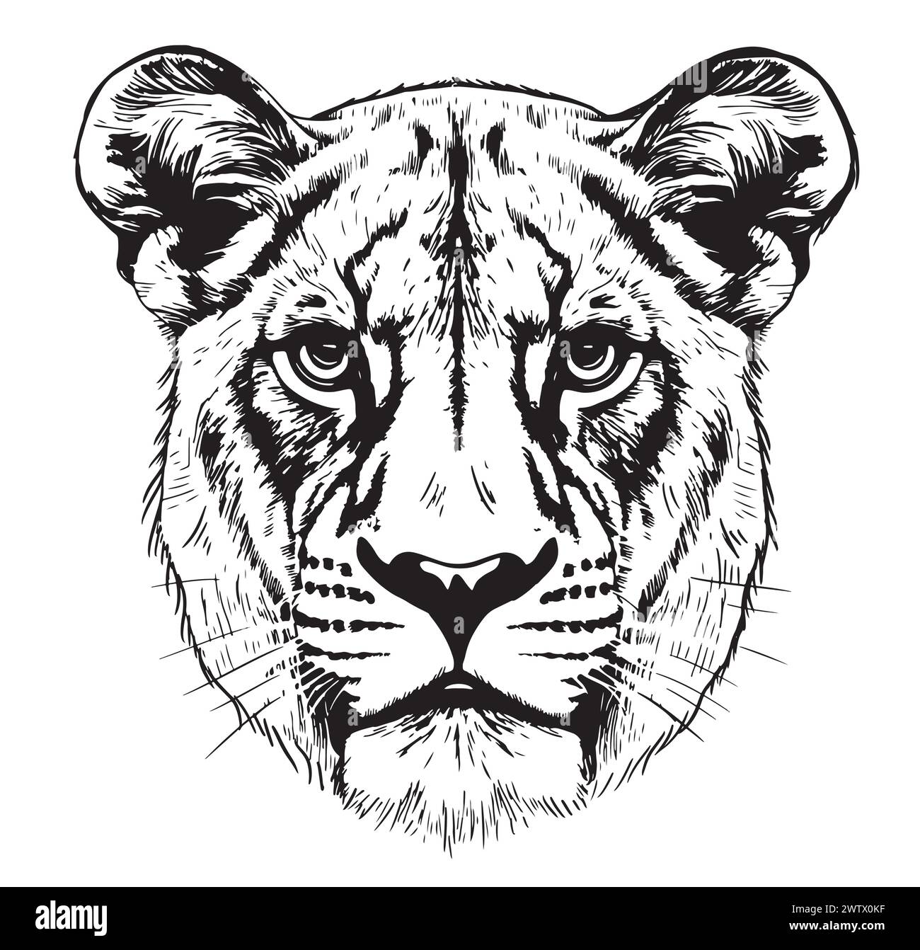 Ritratto Lioness testa di leone schizzo disegnato a mano stile incisione Wild Animals illustrazione vettoriale Illustrazione Vettoriale