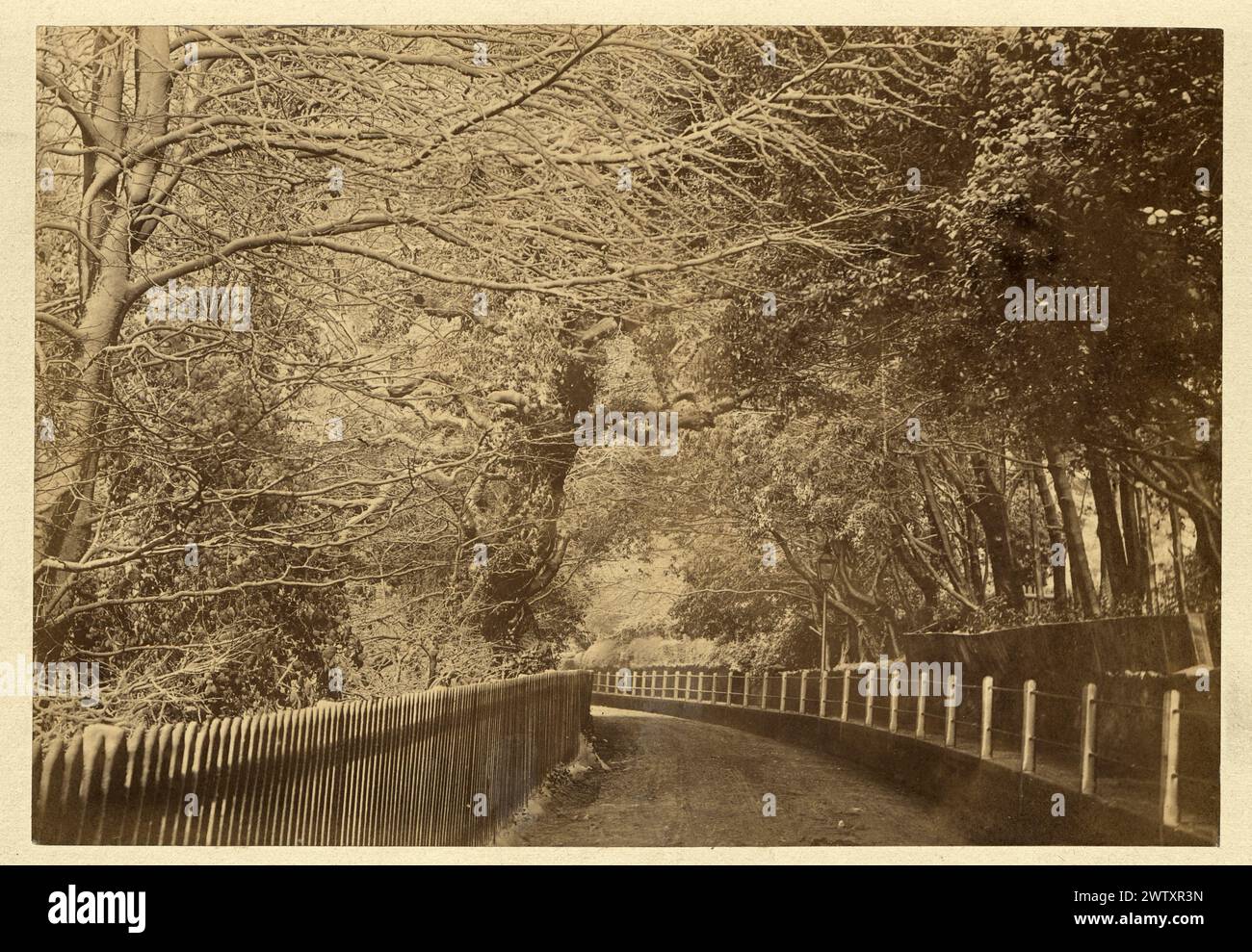 Fotografia d'epoca di una tranquilla strada di campagna alberata, recinzione per picchetti, XIX secolo vittoriano Foto Stock