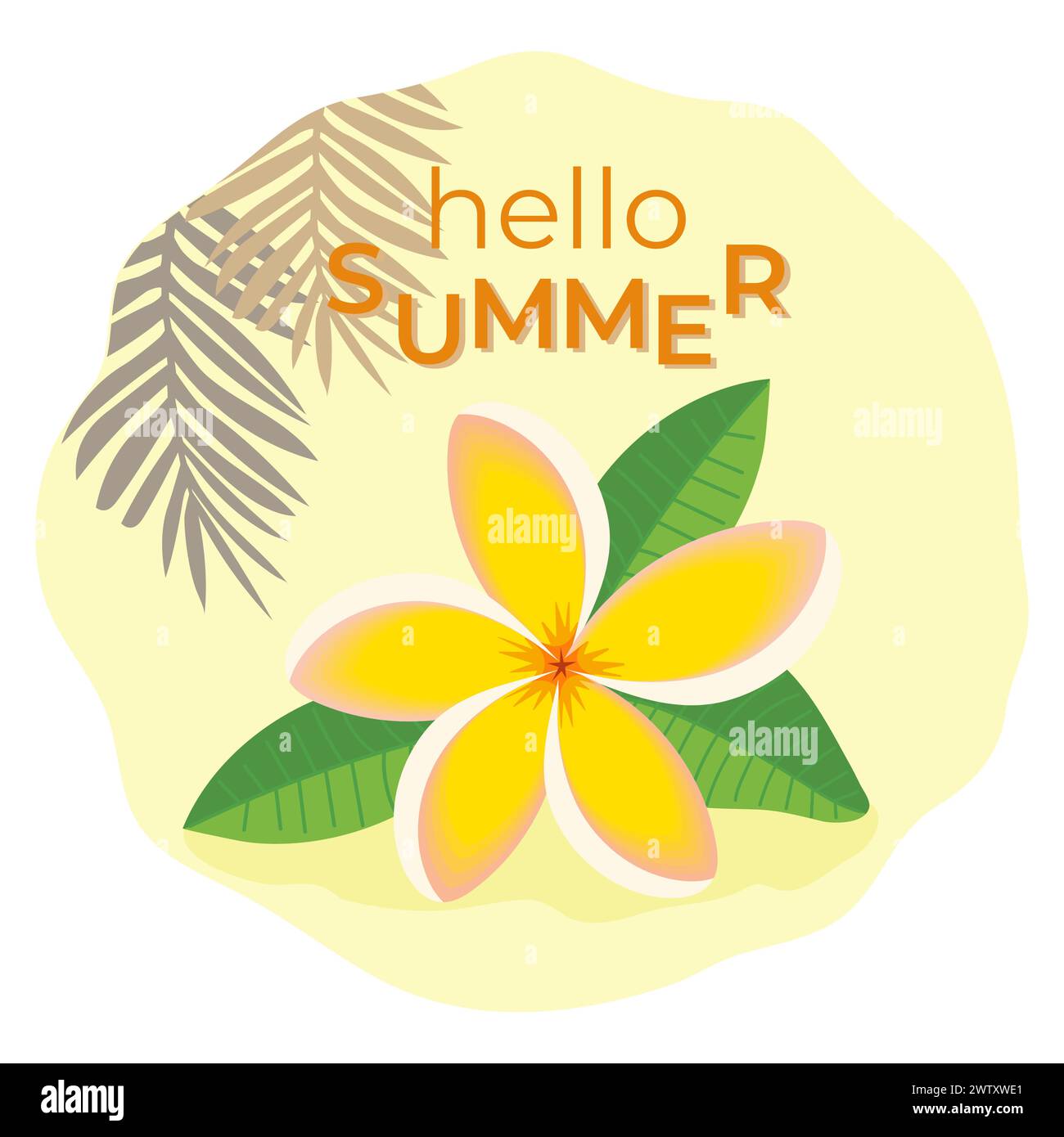 Splendido fiore tropicale, frangipani giallo o plumeria. Salve estate, illustrazione vettoriale piatta. Illustrazione Vettoriale