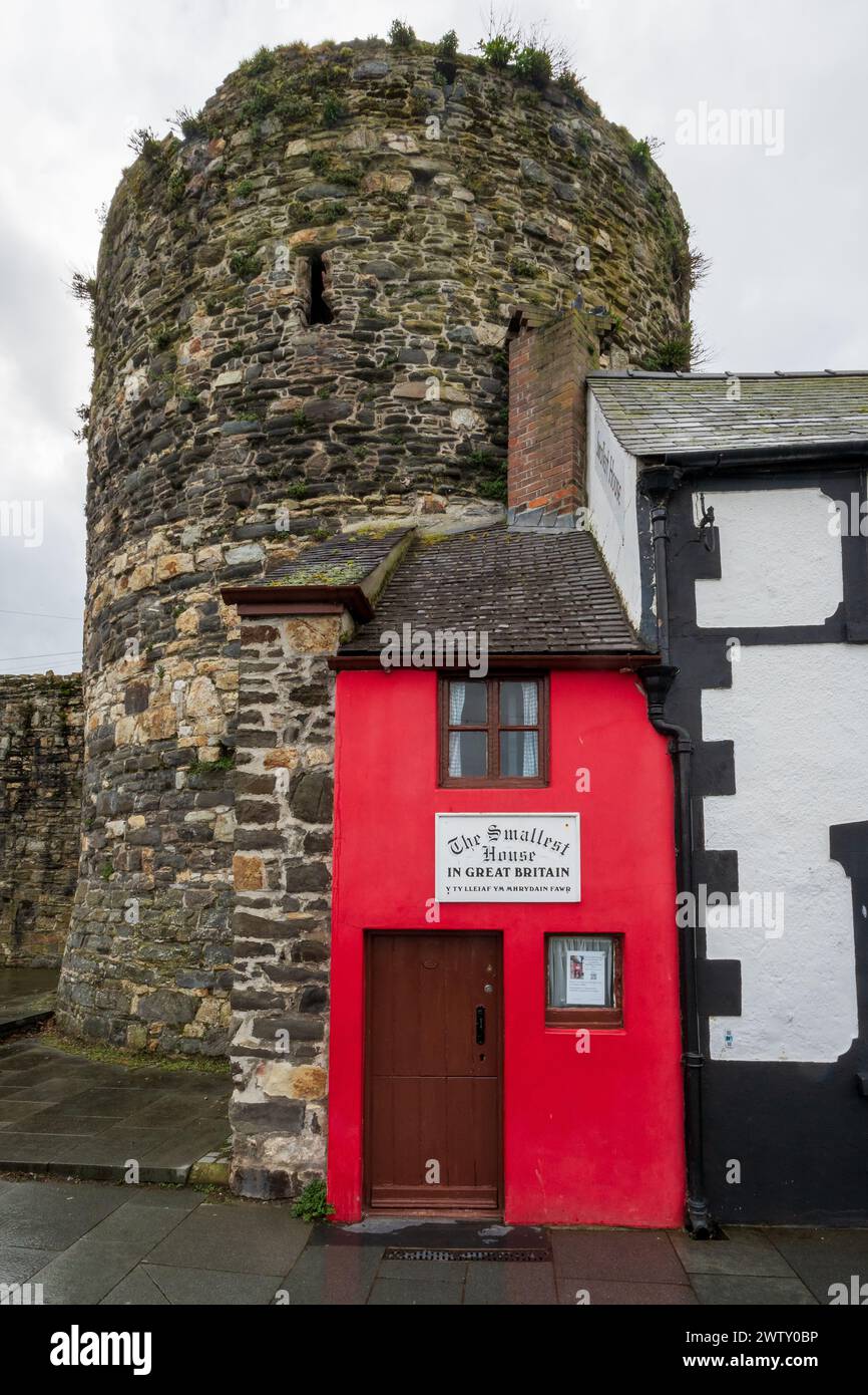 La più piccola casa in Gran Bretagna sul molo di Conwy nel Galles del Nord Foto Stock
