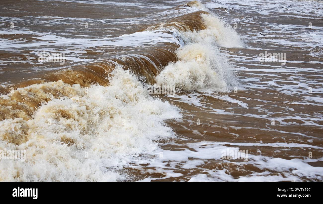 I gabbiani volano sopra le onde marine durante una tempesta Foto Stock