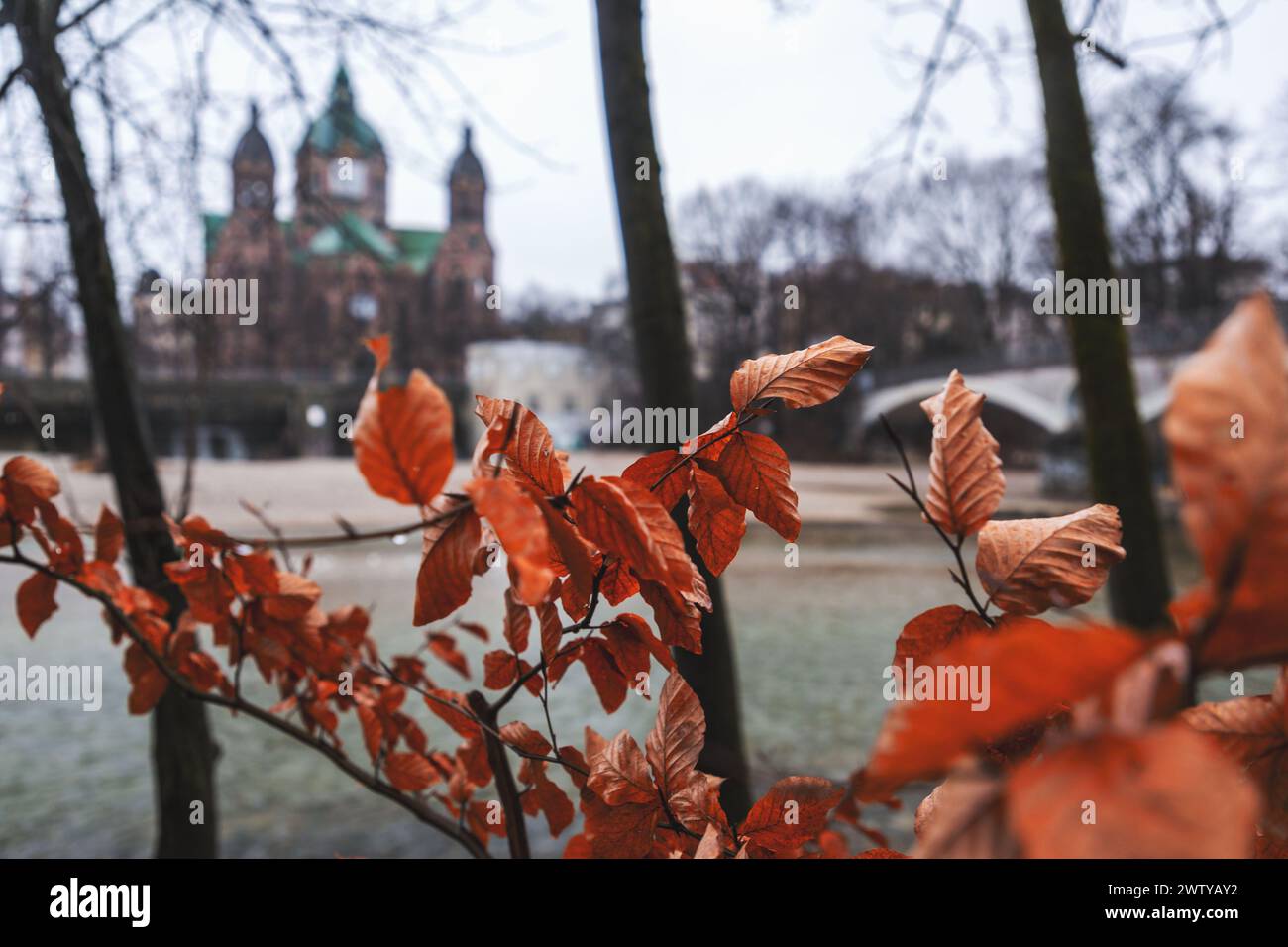 TT. Chiesa di Luca, Lukaskirche, la più grande chiesa protestante di Monaco, vista dietro le foglie secche dell'autunno intorno al fiume Isar. Foto Stock