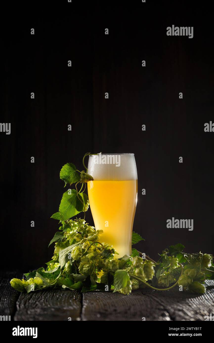 Un bicchiere di birra con schiuma e rami verdi di luppolo su uno sfondo di legno scuro, spazio copia. Il concetto di birra naturale. Le tradizioni della birra. Oktoberfest Foto Stock