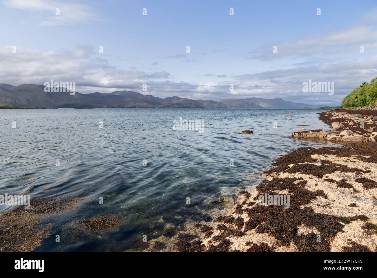 Il Loch Linnhe si increspa accanto a una riva rocciosa cosparsa di alghe in Scozia, con rive boschive e colline lontane sotto un cielo blu parzialmente nuvoloso. Foto Stock