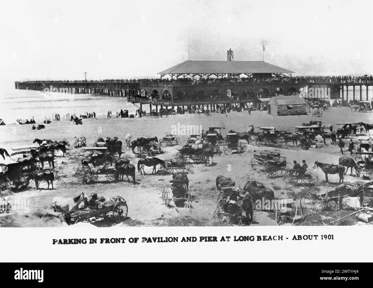 Scena in spiaggia a Long Beach, California, con parcheggio di cavalli e buggy sulla spiaggia di fronte al padiglione e al molo Foto Stock