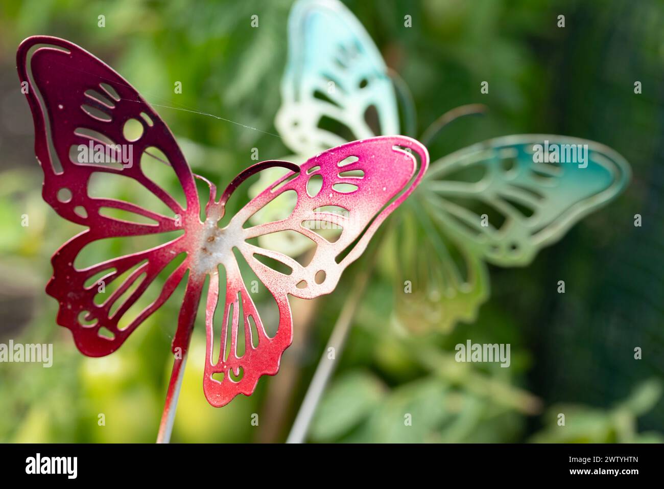 Tre insetti impollinanti, farfalle, sono arroccati su un bastone in un giardino. Questi artropodi sono importanti per la riproduzione vegetale e sono disponibili in vari modi Foto Stock