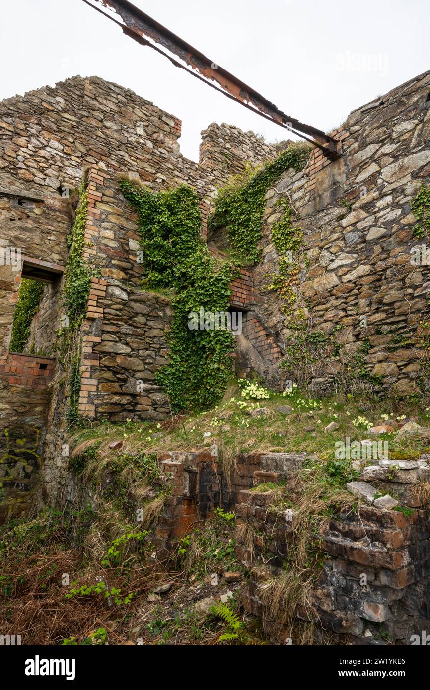 Resti di una vecchia fabbrica di mattoni abbandonata a Porth Wen, sulla costa settentrionale di Anglesey, nel Galles del Nord. Foto Stock