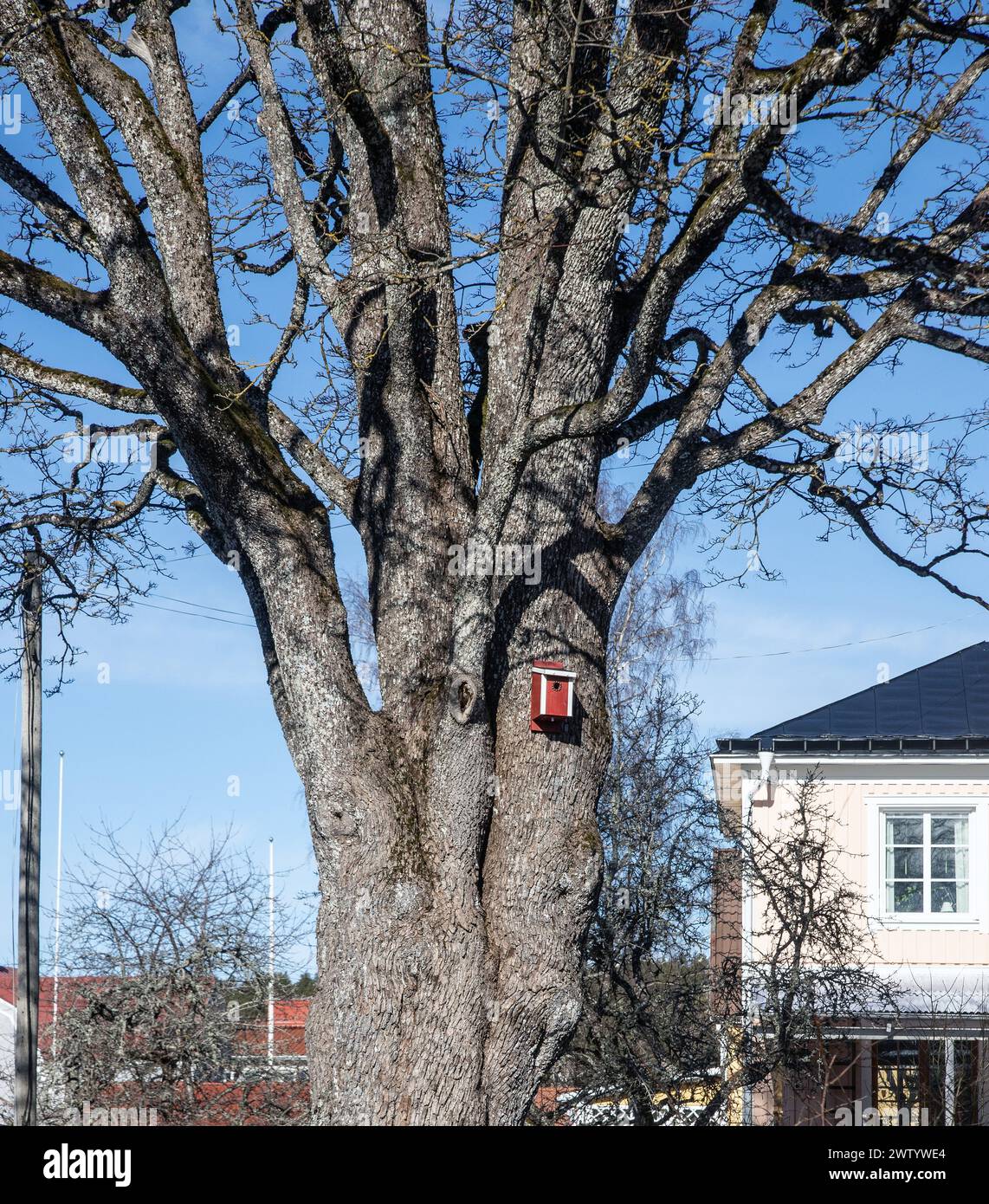 Una piccola casa per uccelli rossa in un grande albero. Cielo blu Svezia Foto Stock