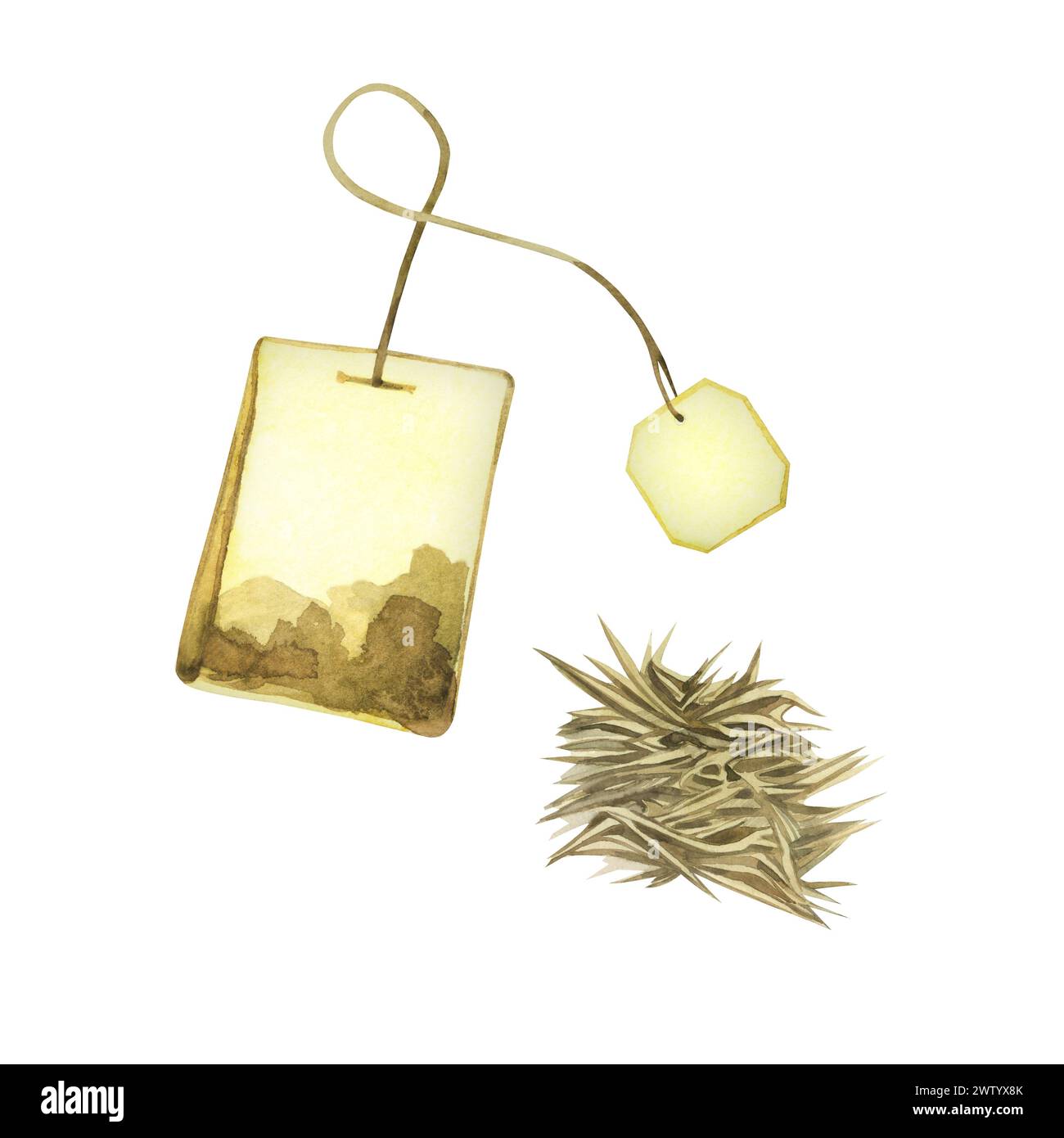 Illustrazione acquerello. Bustina di tè con foglie di tè ed etichetta, infusore di alghe spontanee in acquerello disegnato a mano su sfondo bianco. Adatto per la stampa Foto Stock