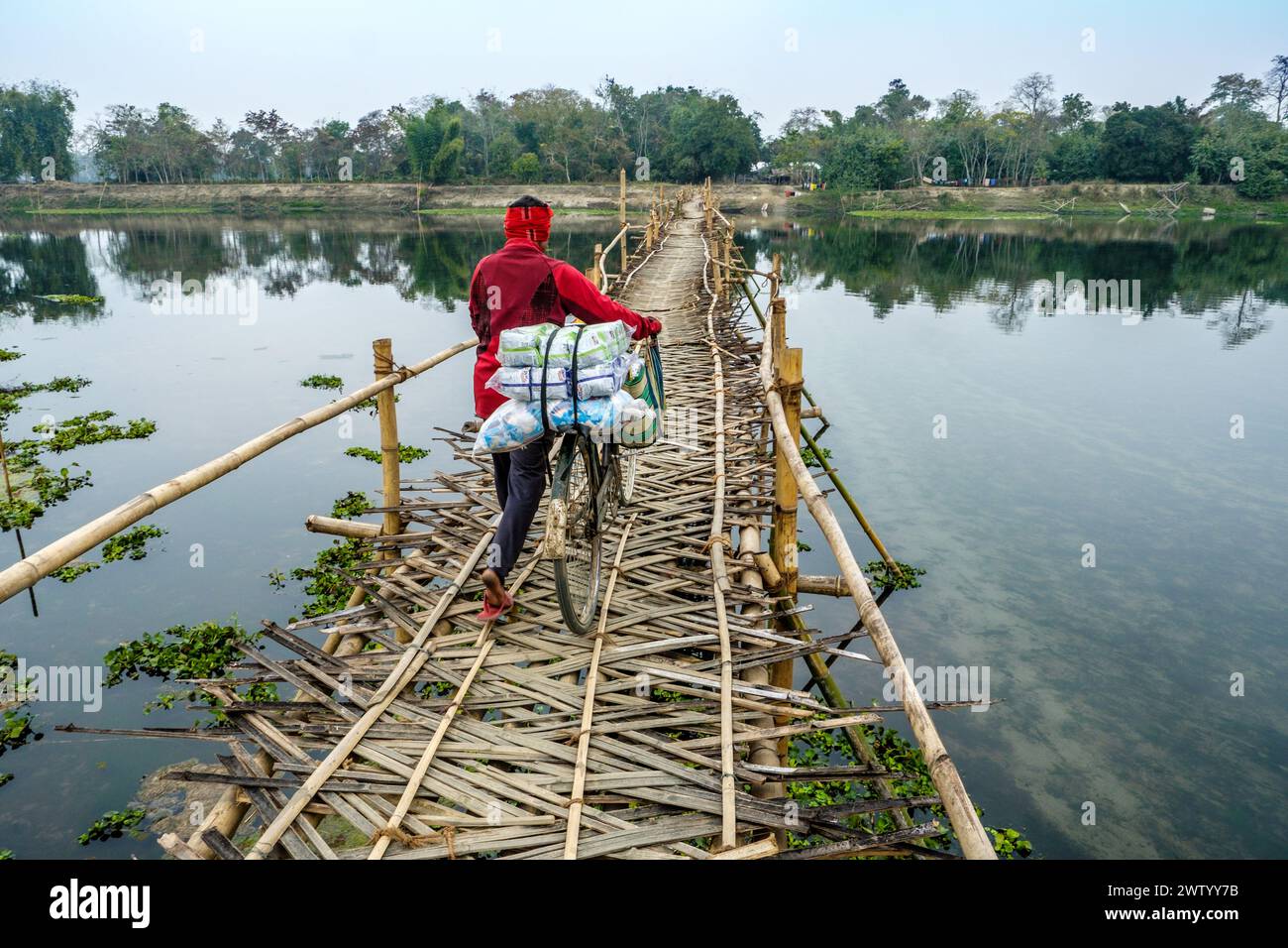 Ponte di bambù sull'isola di Majuli, Assam, India Foto Stock