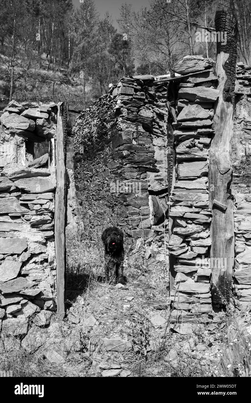 Portogallo, distretto di Coimbra, vicino a Góis, Coic, rovine del "capanno" che mostrano una porta bruciata dopo i devastanti incendi del 2017 Foto Stock