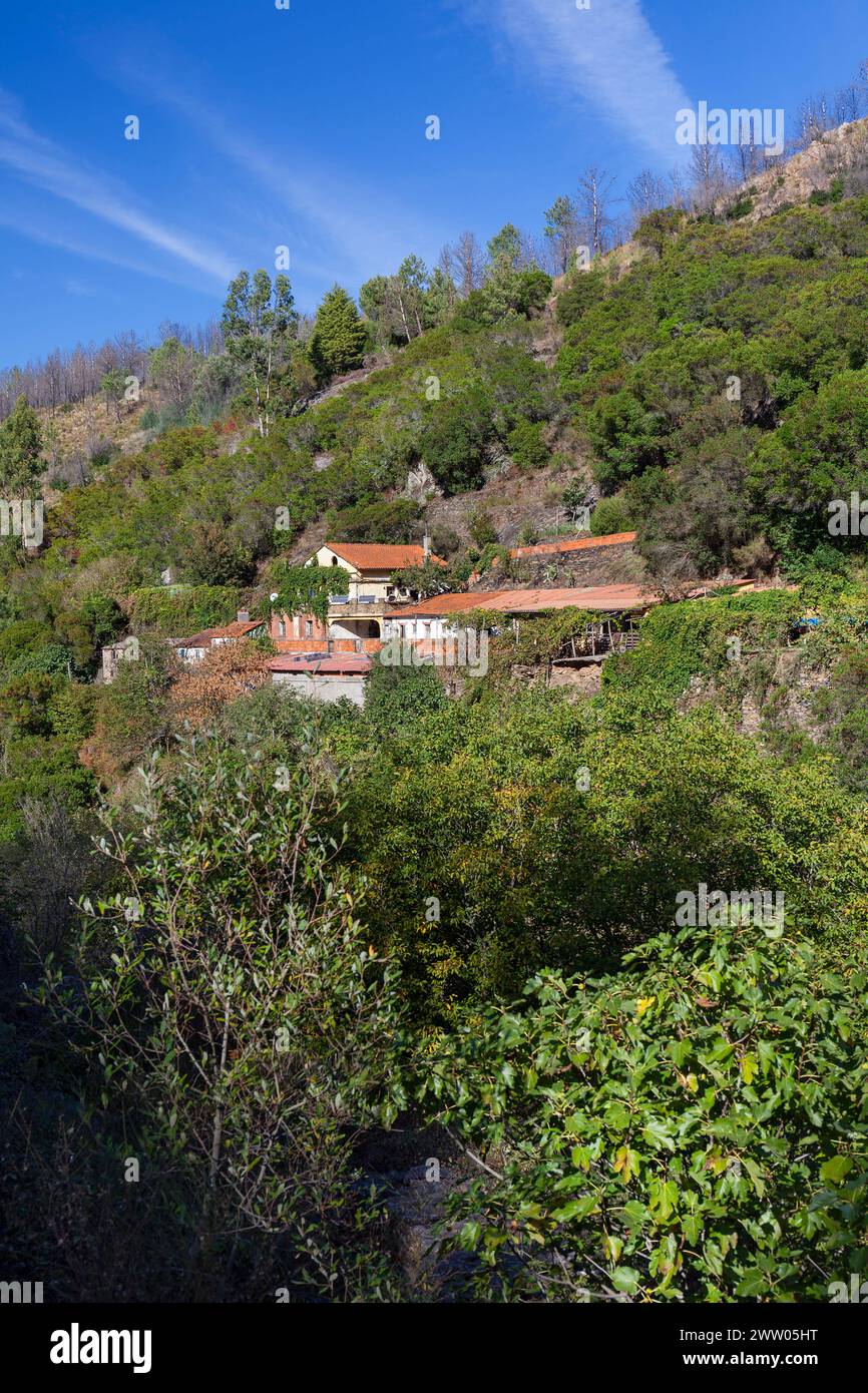 Portogallo, distretto di Coimbra, vicino a Colmeal, la "Quinta das Águias" (fattoria tradizionale portoghese) Foto Stock