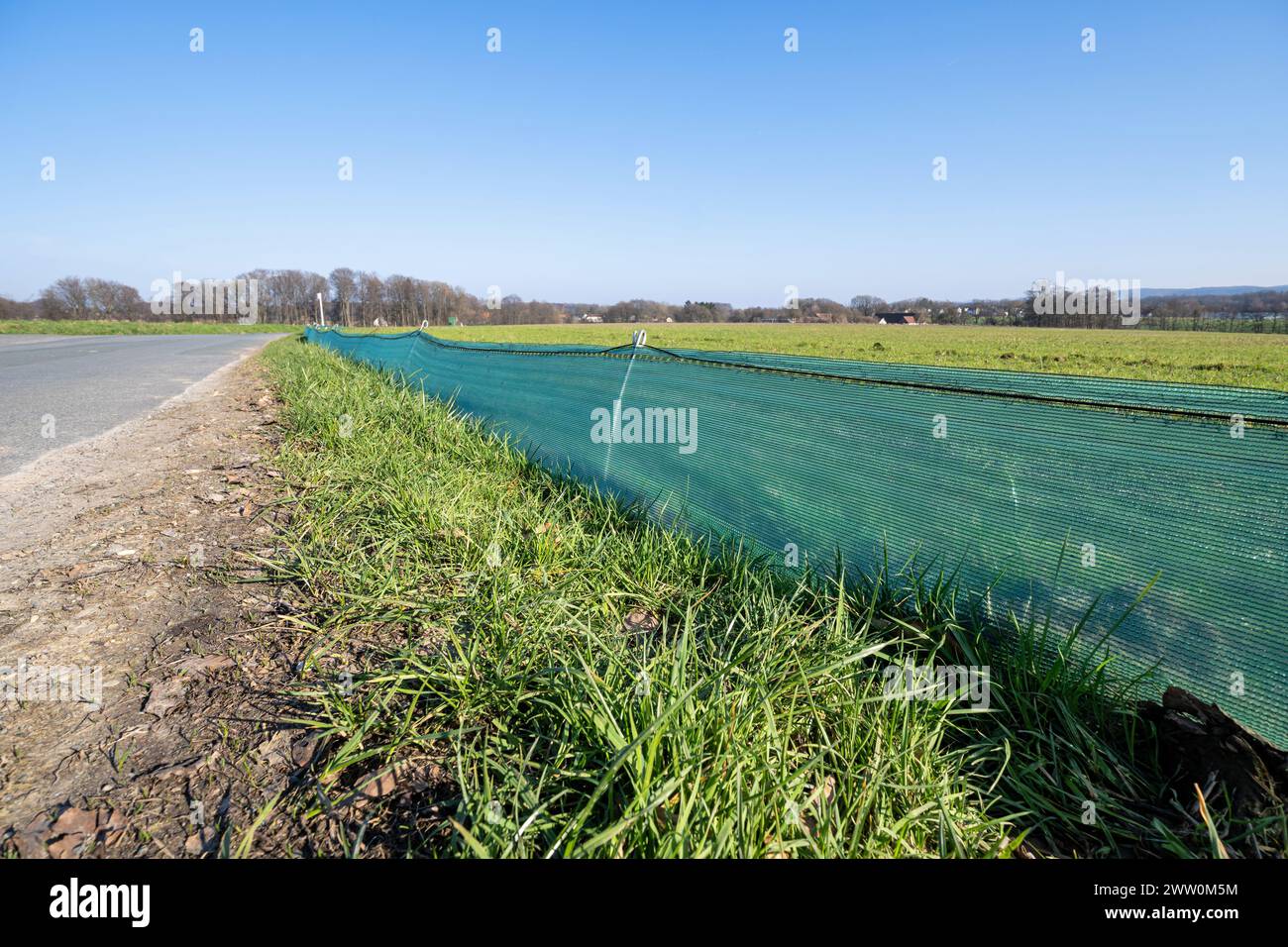 recinzione anfibia ai margini di una strada Foto Stock