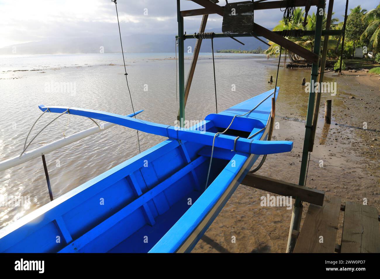 Sulla costa dell'isola di Tahiti vicino a Teahupo'o, nella penisola di Tahiti Iti (la "piccola Tahiti"), nella Polinesia francese. Teahupo'o, Tahiti, Tahiti Foto Stock