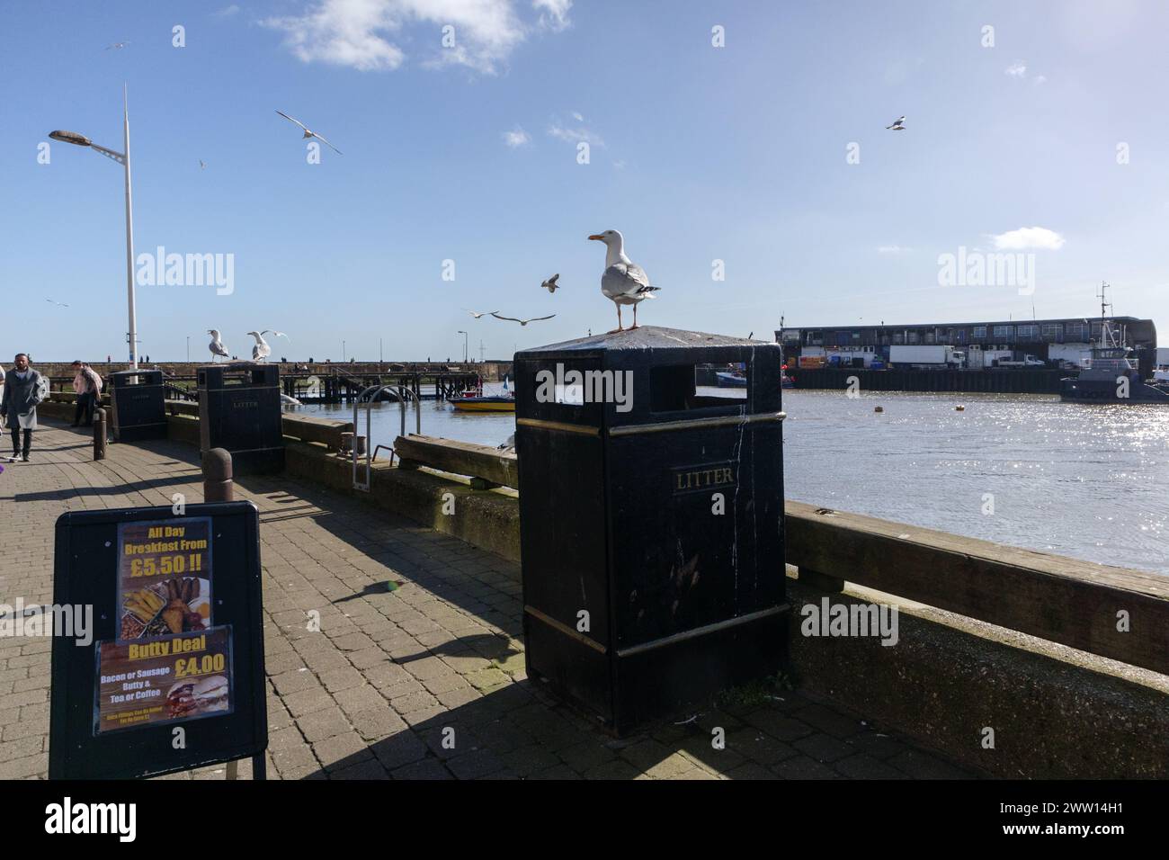 Bridlington, Yorkshire, Regno Unito Foto Stock