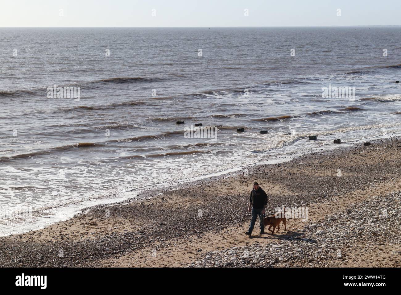 Un uomo cammina il suo cane lungo la North Beach a Bridlington, Yorkshire, Regno Unito Foto Stock
