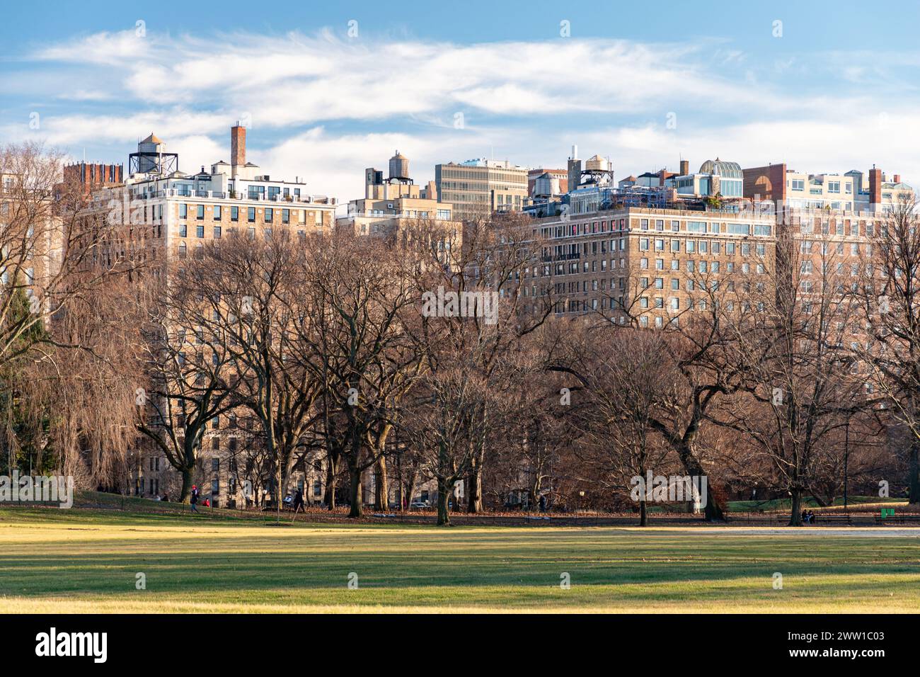 Vista invernale di Central Park con edifici di East Harlem sullo sfondo, New York Foto Stock