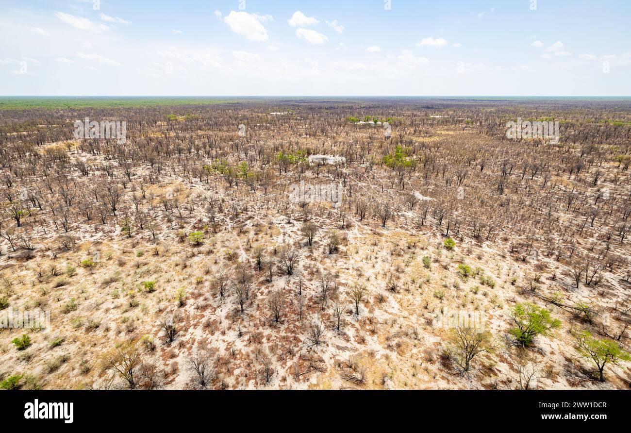 Vista aerea del delta dell'Okavango, Botswana Foto Stock