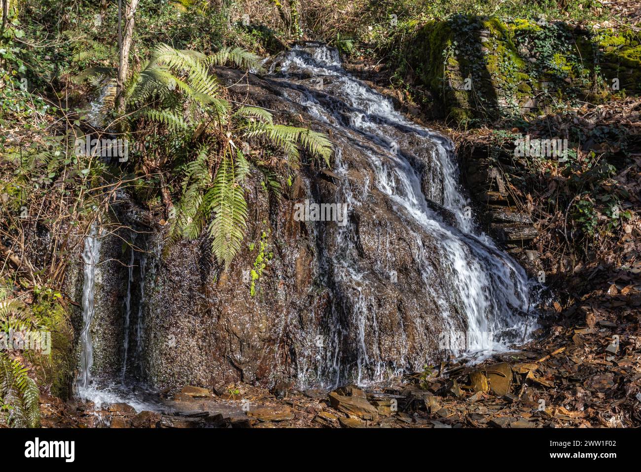 Rivière prête à se déverser dans la Vézère Foto Stock