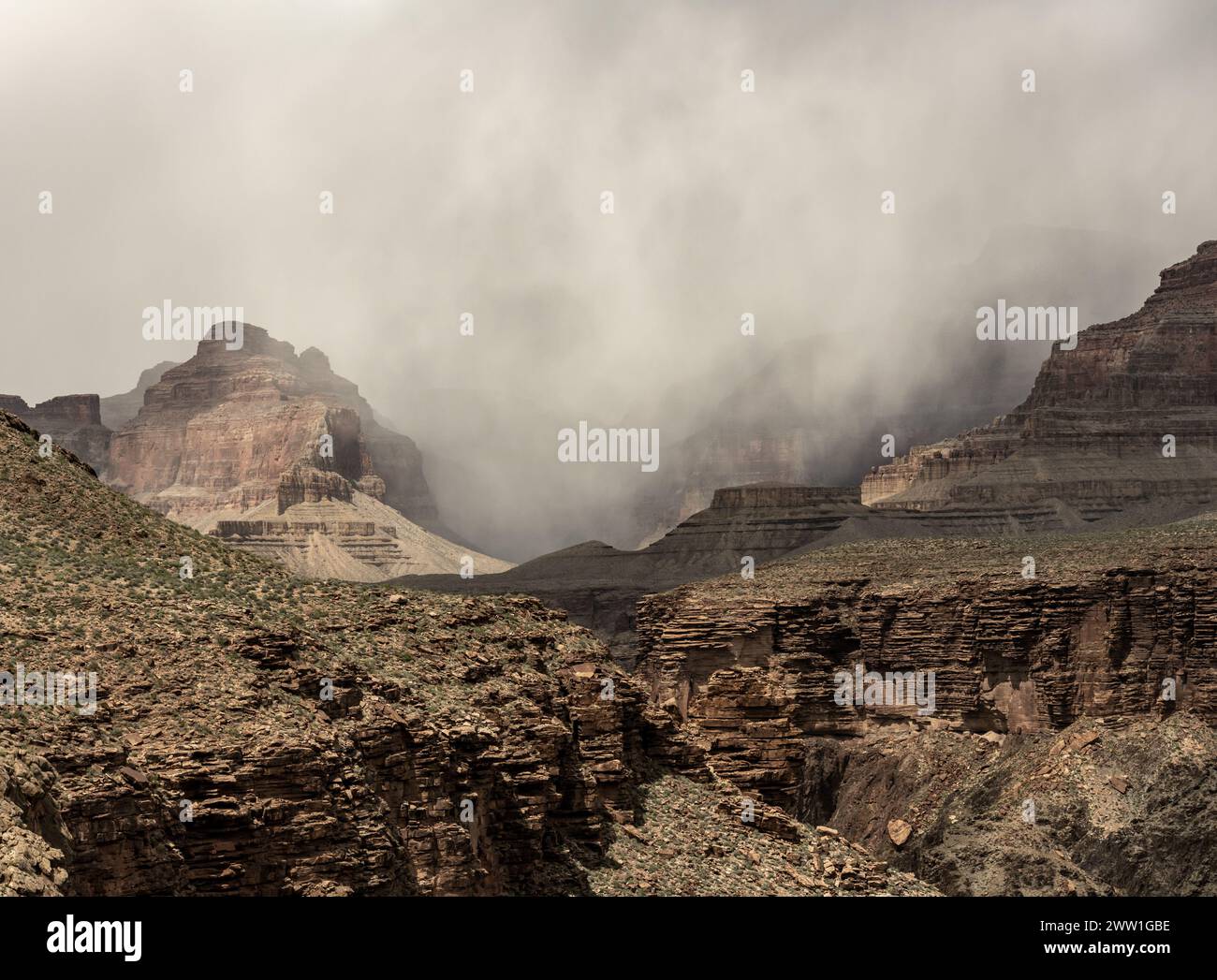 La tempesta di neve si ferma sul bordo sopra le formazioni Tapeats nel Grand Canyon in primavera Foto Stock