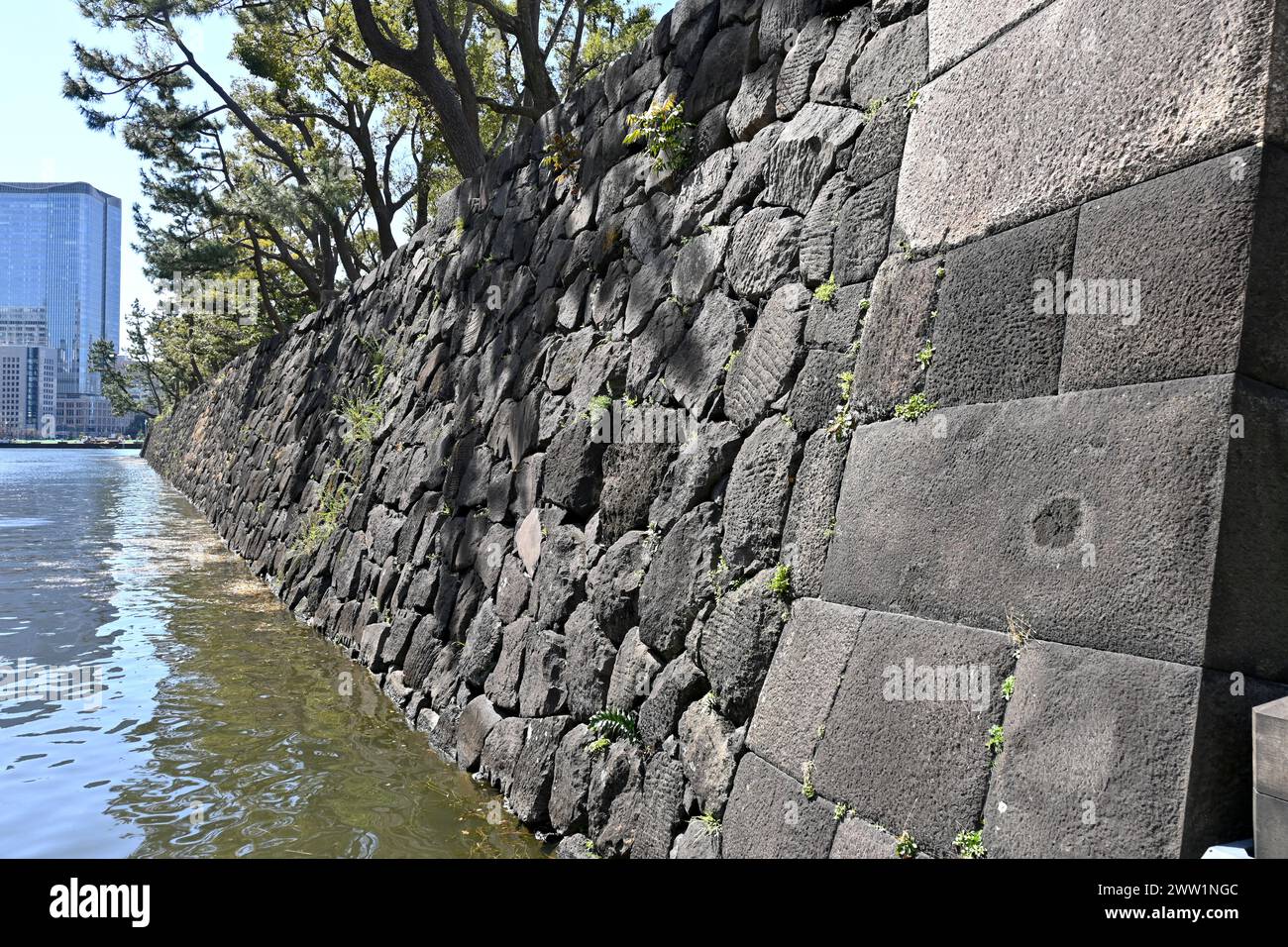 Muro di fossato in pietra vicino al Palazzo Imperiale di Tokyo in primavera - Chiyoda, Tokyo, Giappone - 28 febbraio 2024 Foto Stock