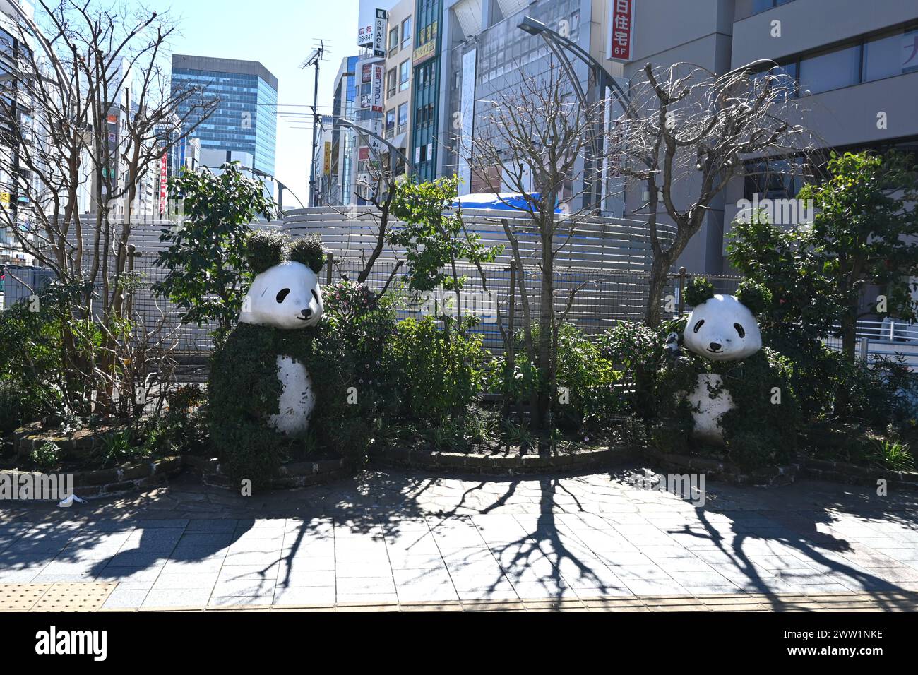 Statue di Pandas verdi di Ueno – Taito, Tokyo, Giappone – 28 febbraio 2024 Foto Stock