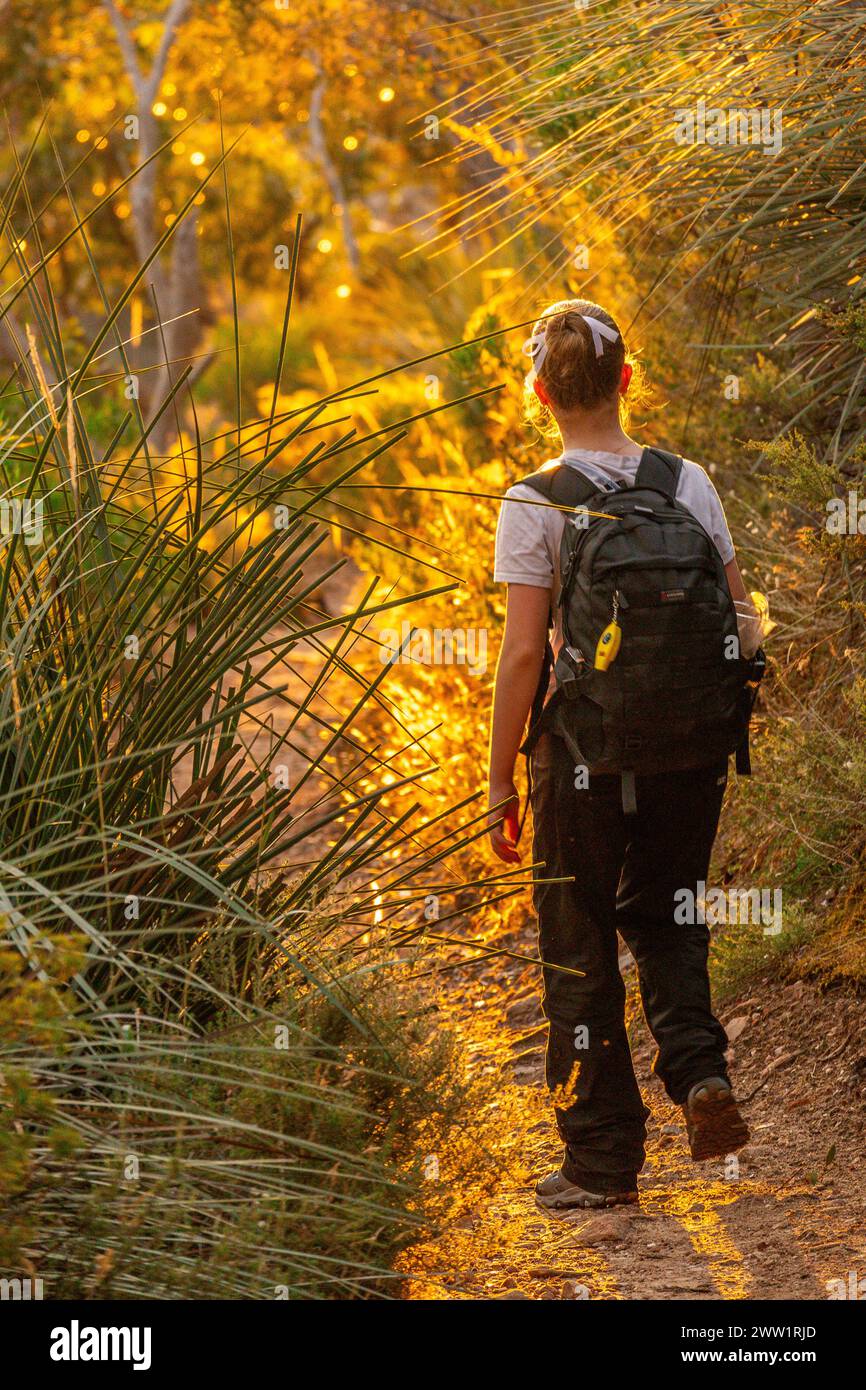 Vista posteriore di una persona che cammina su un sentiero cespuglioso al tramonto. Foto Stock