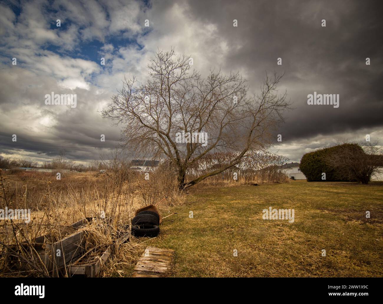 Ampio campo di inizio primavera in una giornata nuvolosa. Foto Stock