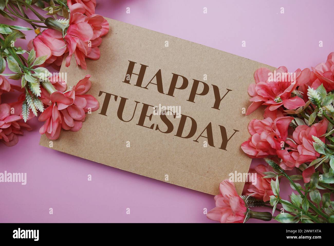 Buon martedì testo tipografico con fiori su sfondo rosa Foto Stock