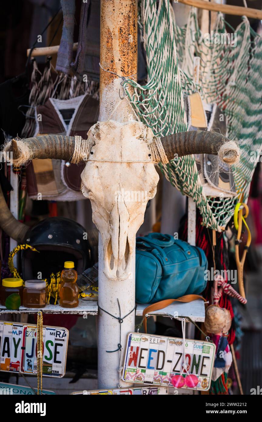 Turisti e mercanti di strada sulla strada di Los Algodones in Messico, conosciuta localmente come molar City. Foto Stock