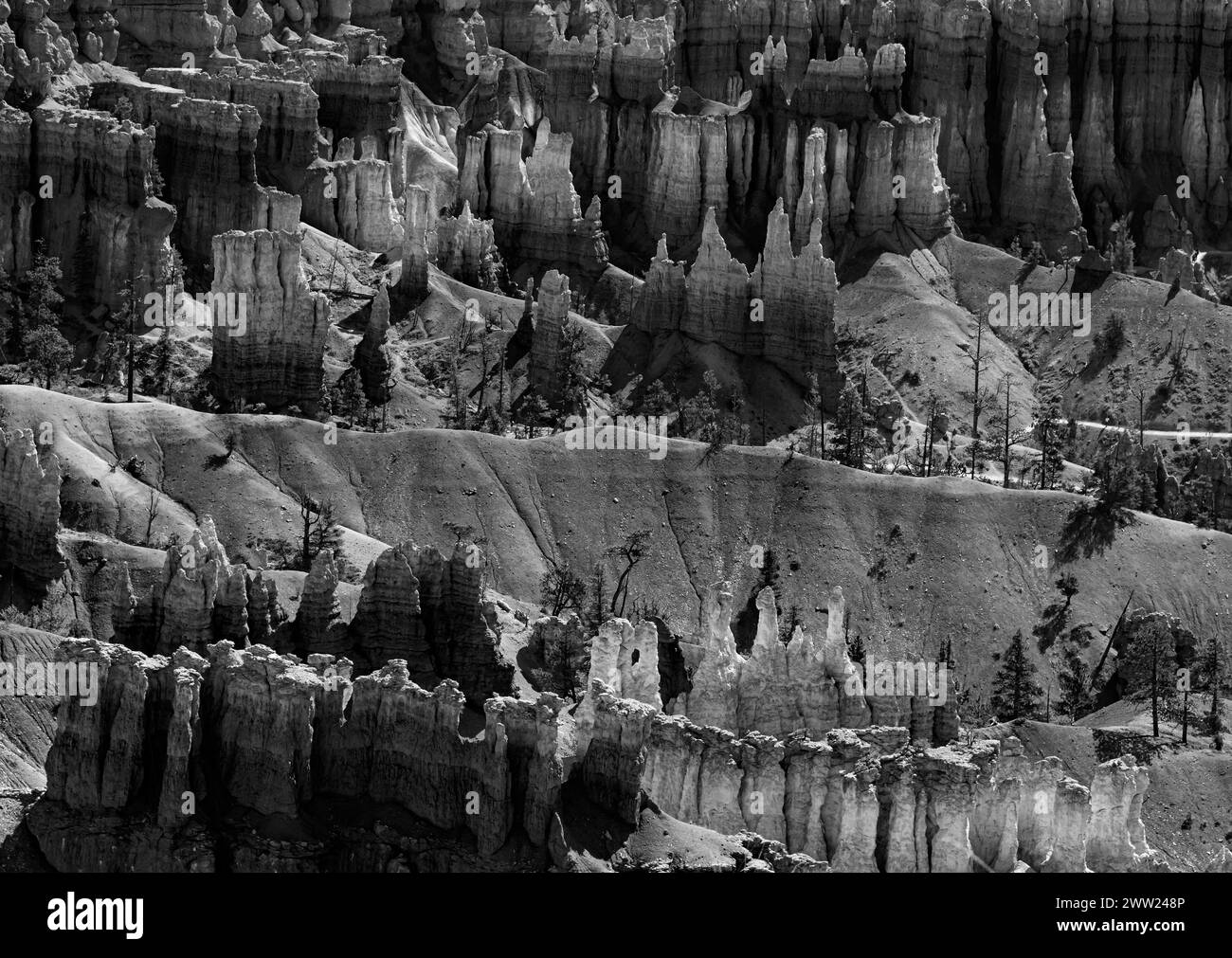 Hoodoos o guglie di arenaria popolano l'ambiente al Bryce Canyon National Park, Garfield County, Utah Foto Stock