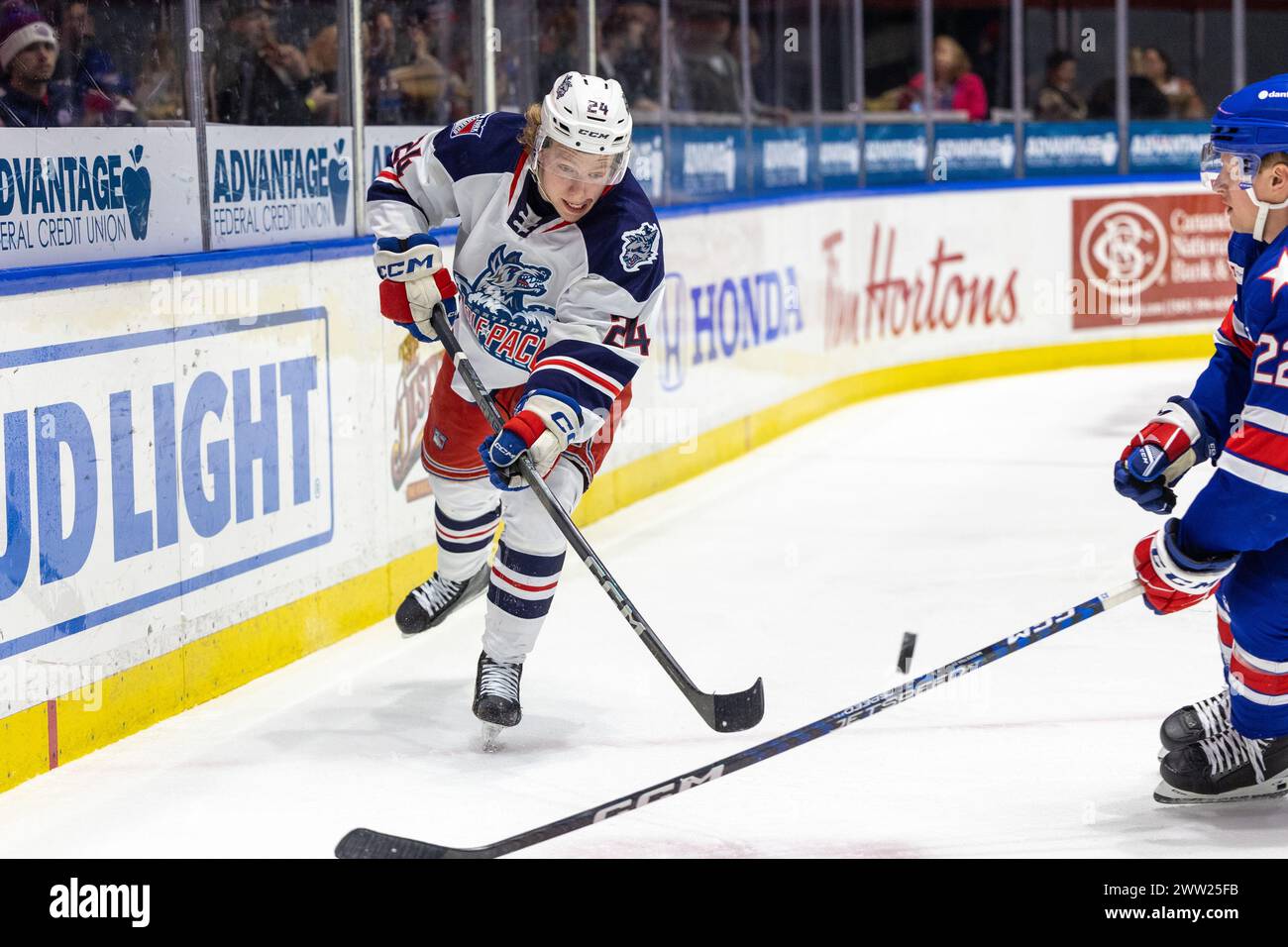 20 marzo 2024: Karl Henriksson (24), attaccante dei Hartford Wolf Pack, pattina nel primo periodo contro i Rochester Americans. I Rochester Americans ospitarono l'Hartford Wolf Pack in una partita della American Hockey League alla Blue Cross Arena di Rochester, New York. (Jonathan tenca/CSM) Foto Stock