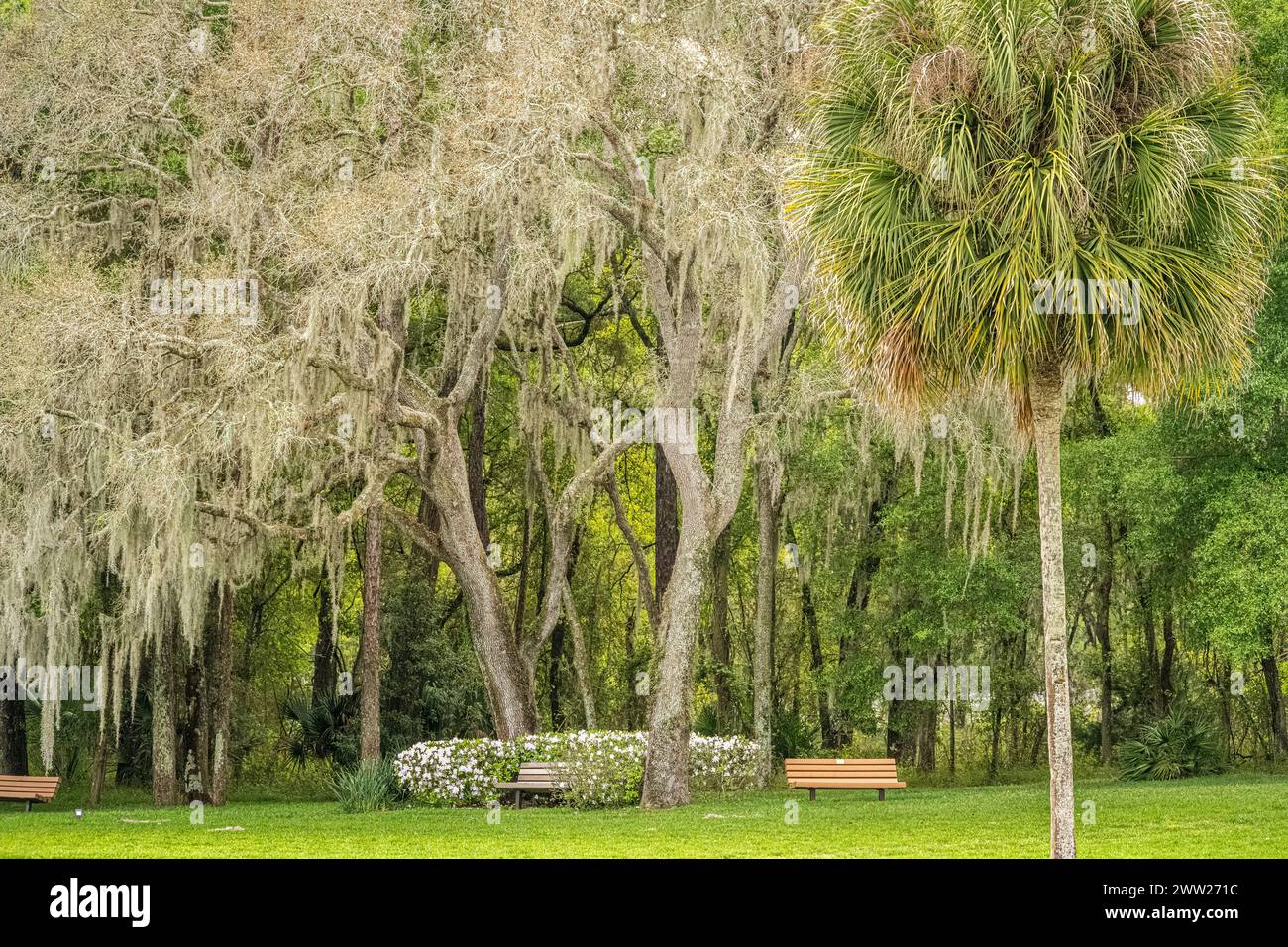 Panchine che circondano un'area funeraria presso il Florida National Cemetery, un cimitero per veterani militari degli Stati Uniti, a Bushnell, Florida. (USA) Foto Stock