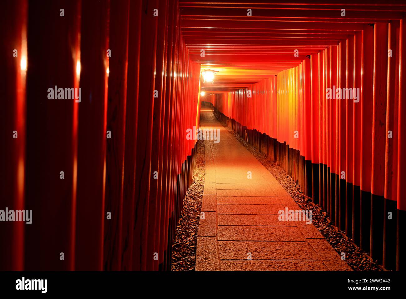 Fushimi Inari Taisha con centinaia di porte tradizionali a Fukakusa, Yabunouchicho, Fushimi Ward, Kyoto, Giappone Foto Stock