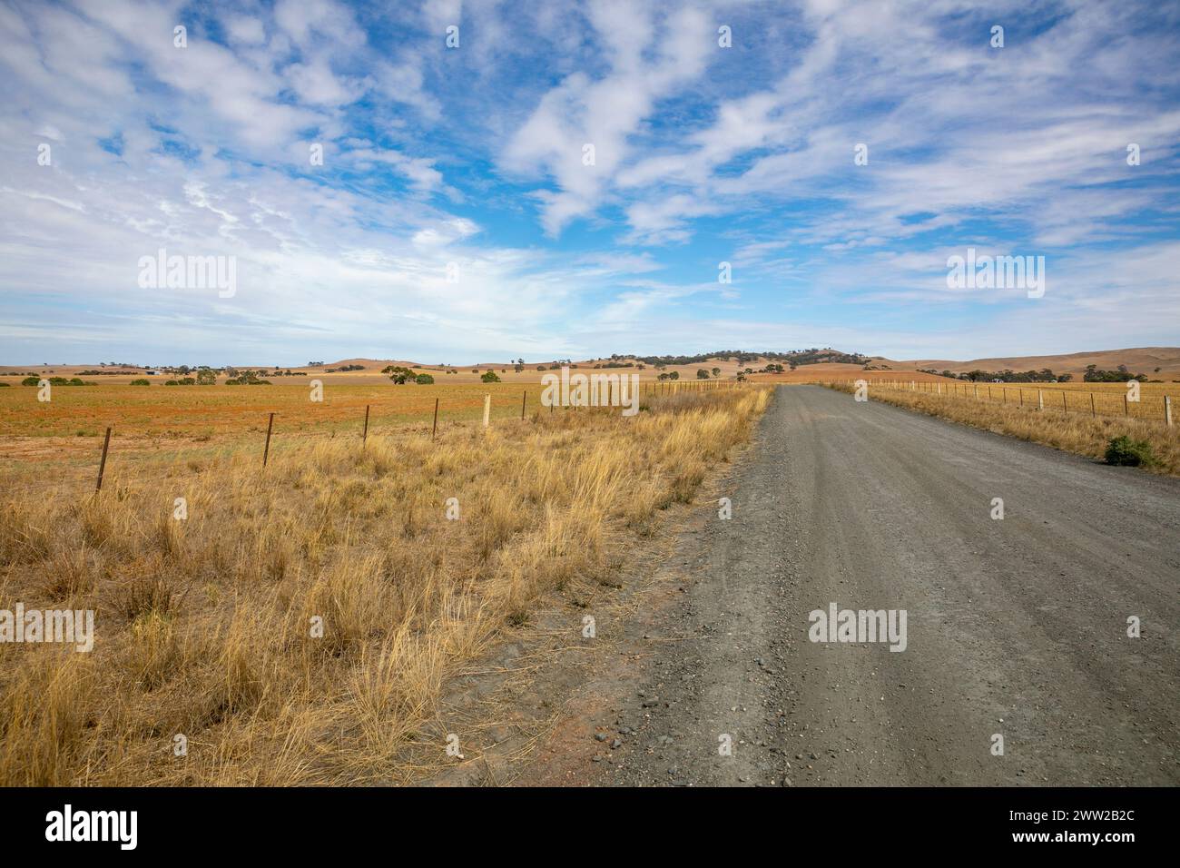 Paesaggio agricolo australiano, vicino al piccolo insediamento di Dutton nell'Australia meridionale, strada attraverso terra di grano coltivato in un giorno autunnale molto caldo. Foto Stock